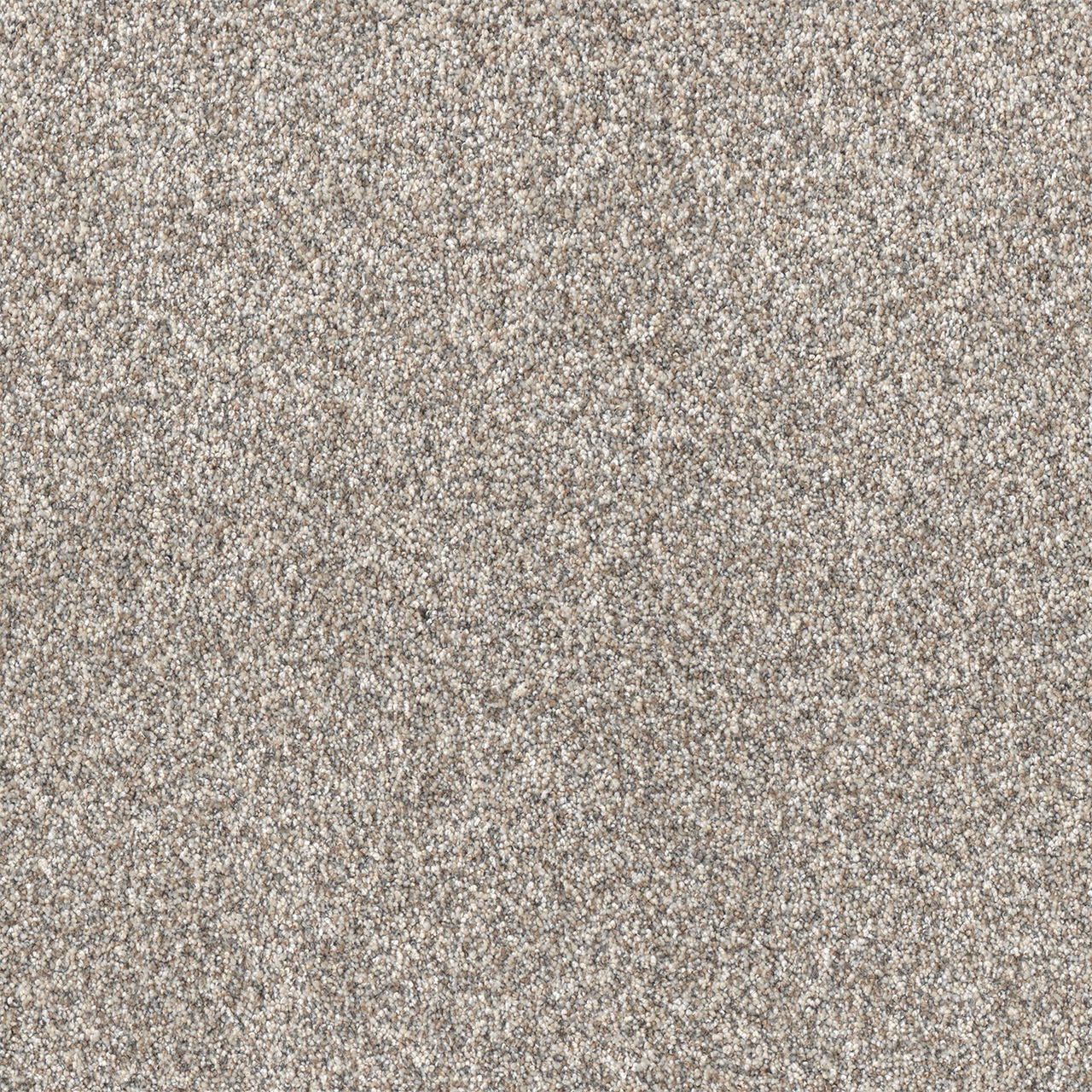 Dream Weavers: : Summer Garden, 4309: Classy