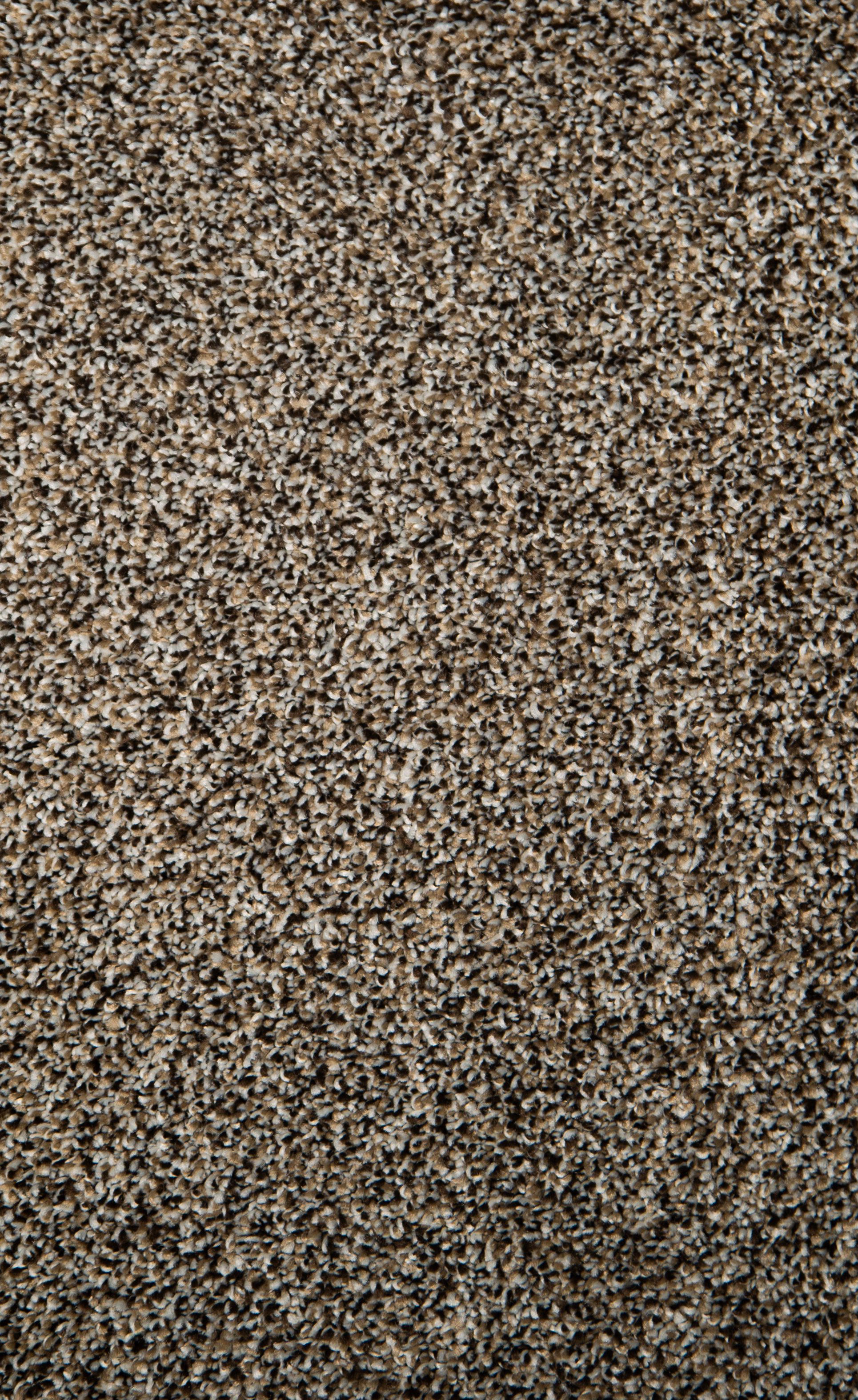 RHINO : New Boston 60, 1880: Chestnut