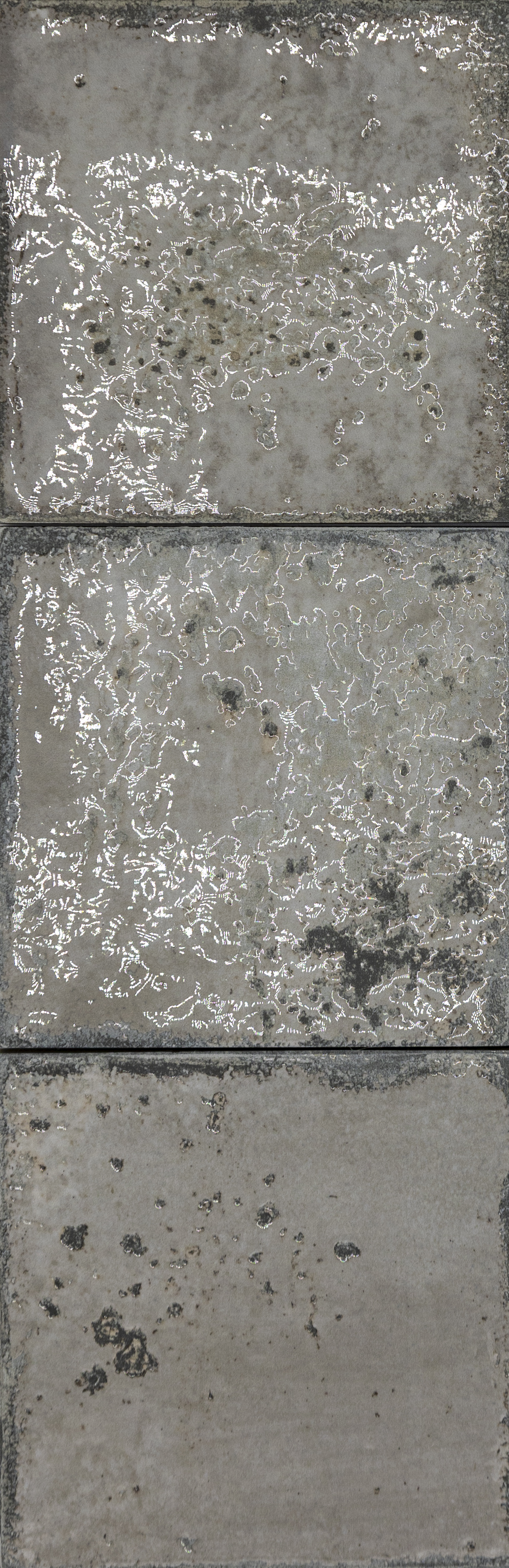 Mayolica : Era : Grey 5x5 (5.93SF) New!