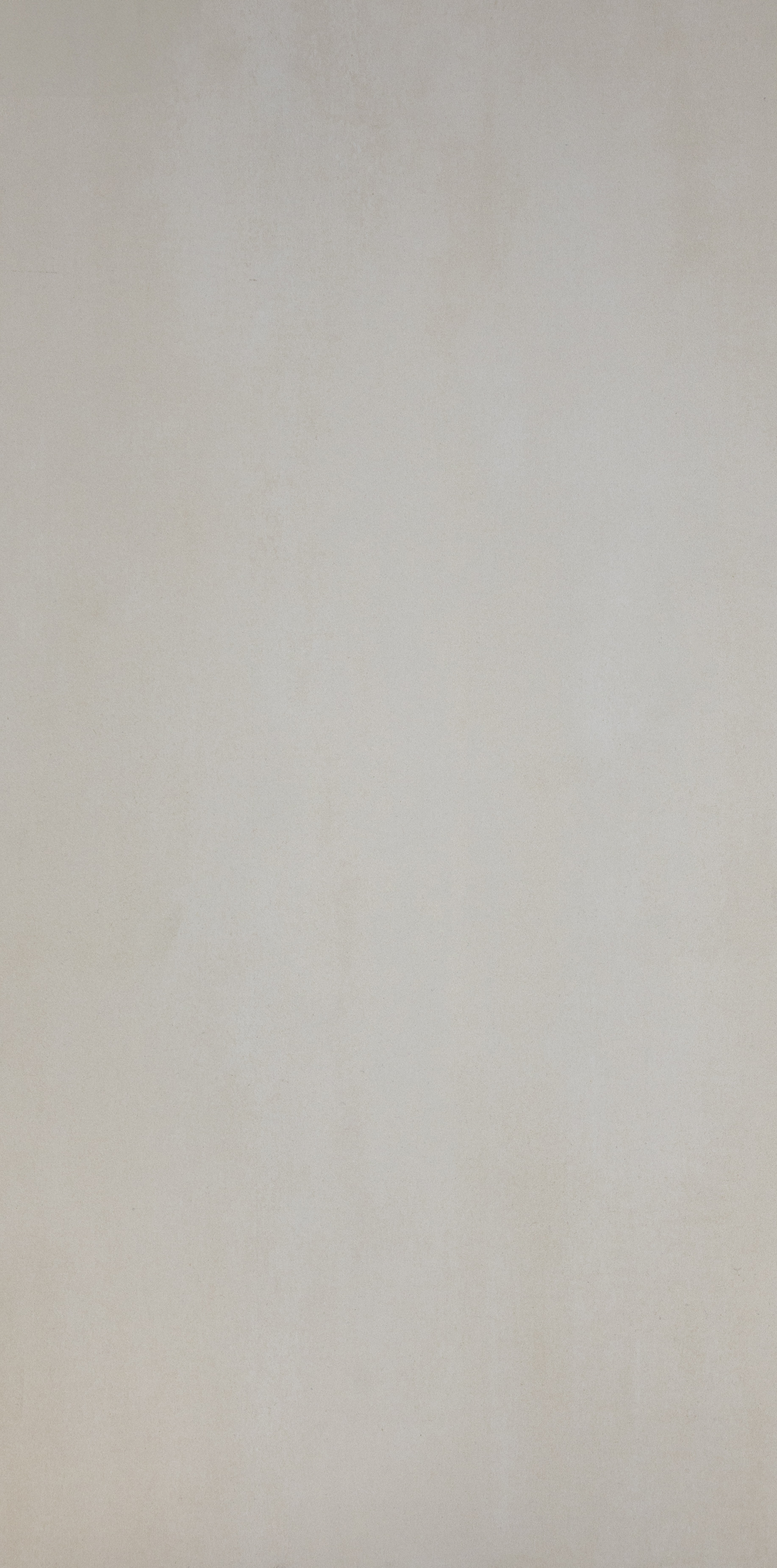 Metallicas White 12x24