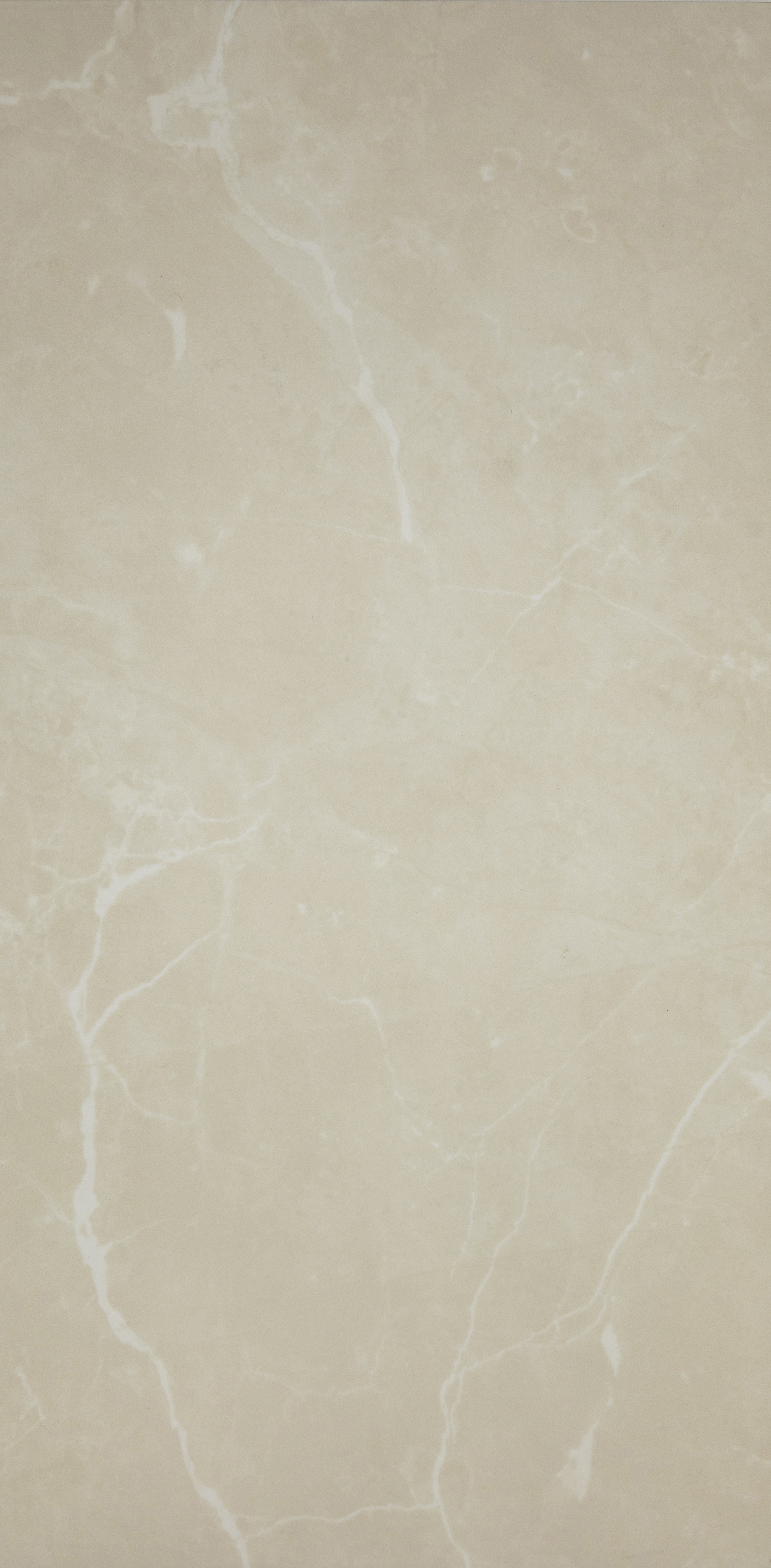 Puccini Marfil 12x24