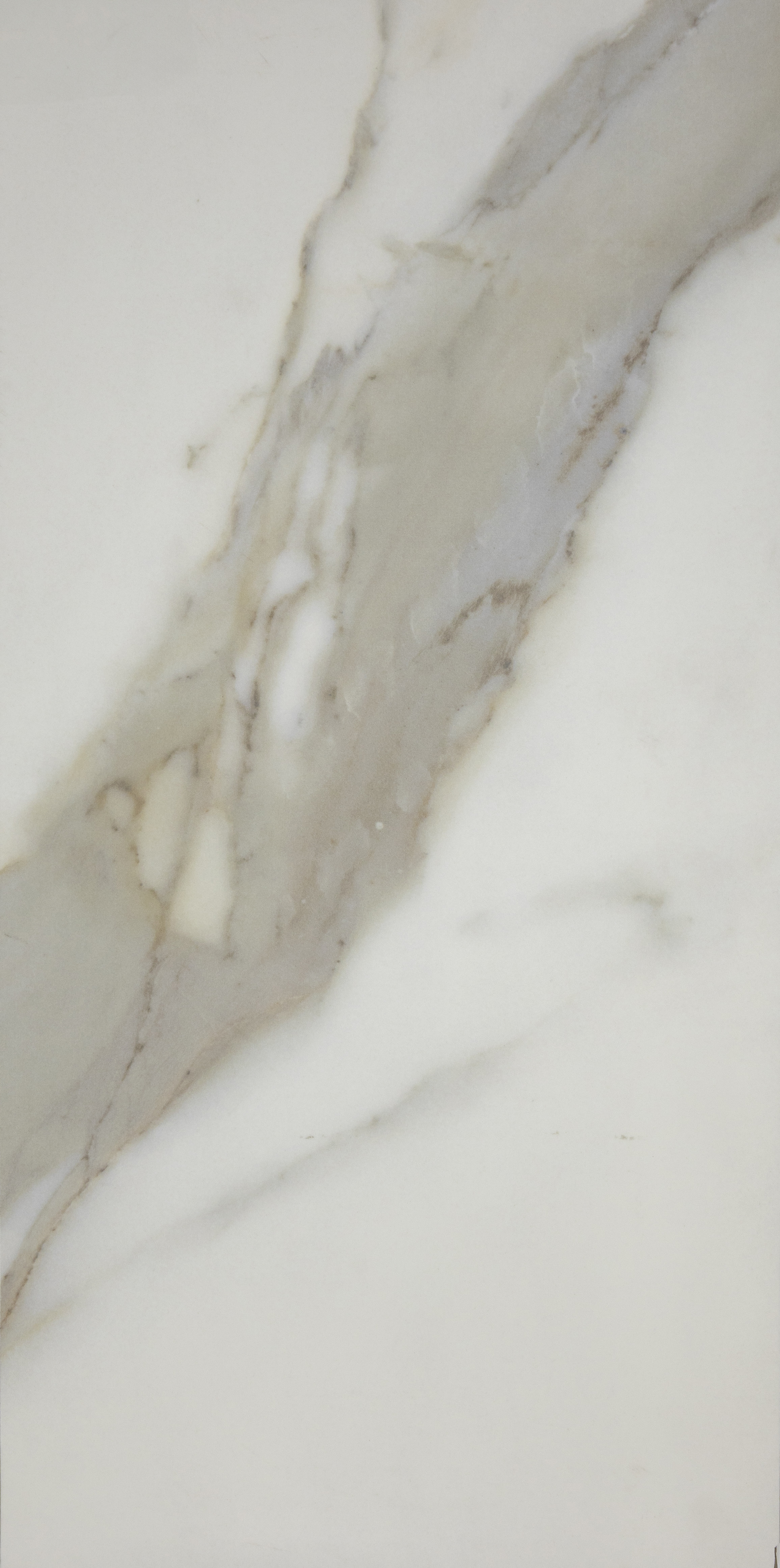 Calacatta Gold 12x24