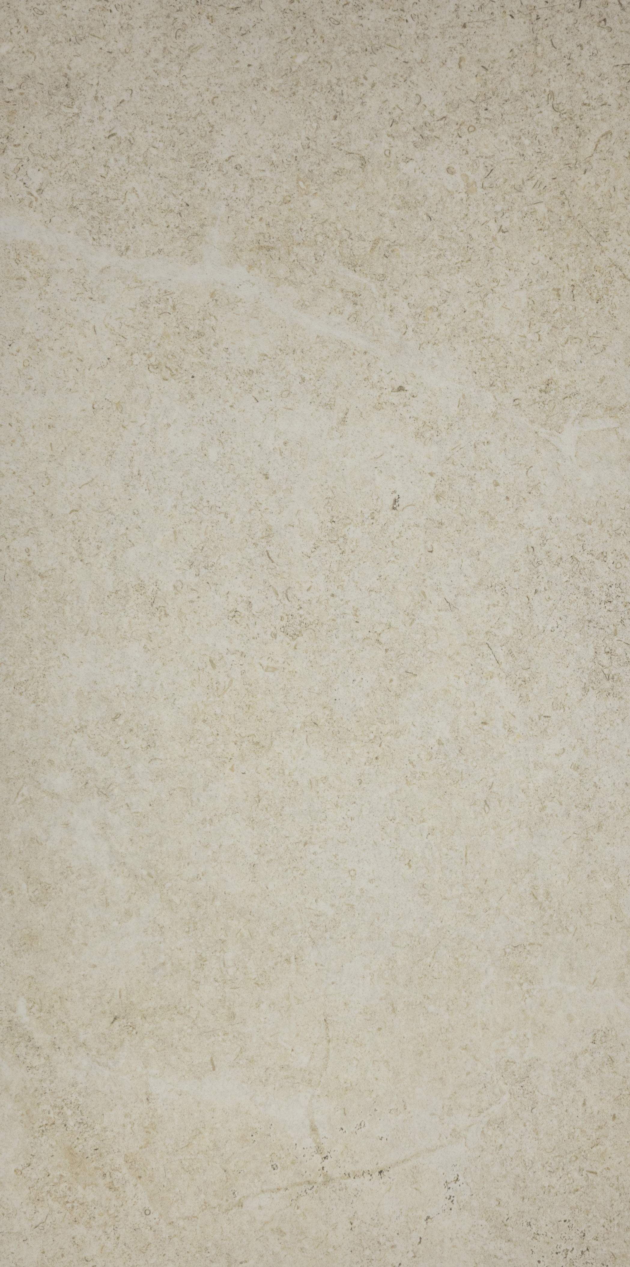 Holystone White 12x24