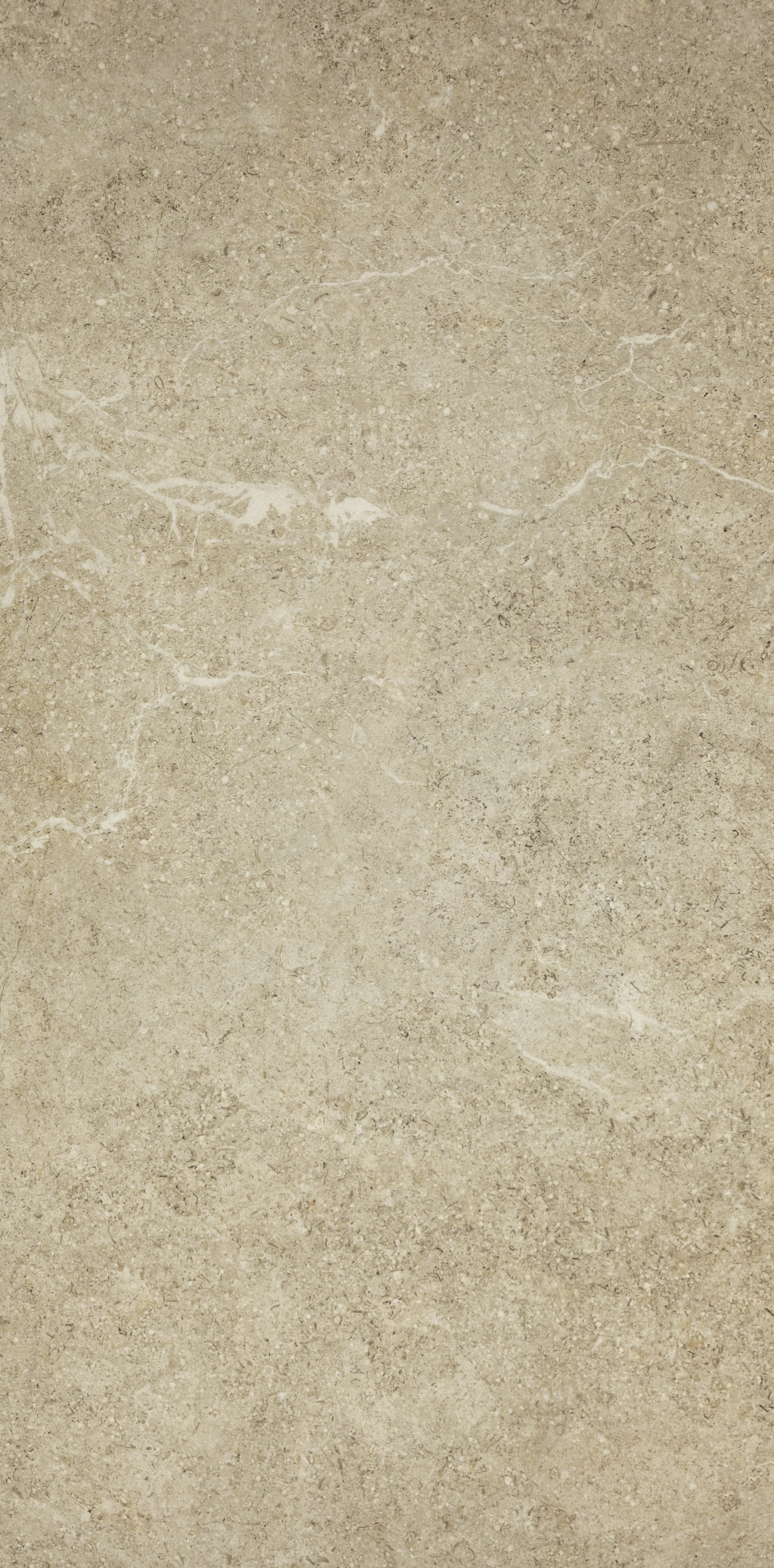 Holystone Beige 12x24