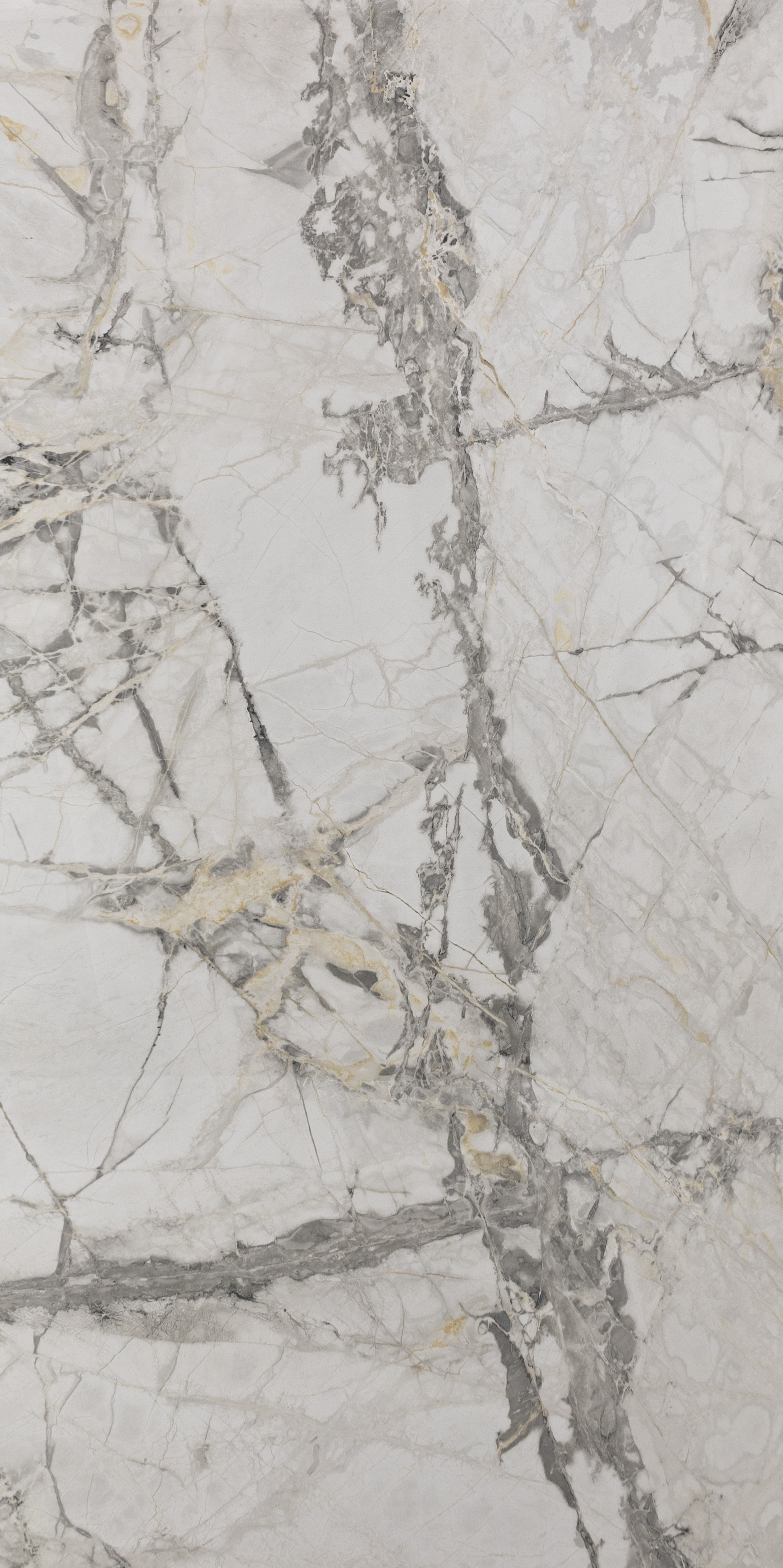 Kai Group : Arabesque Polished 24x48 (15.5SF)New!!