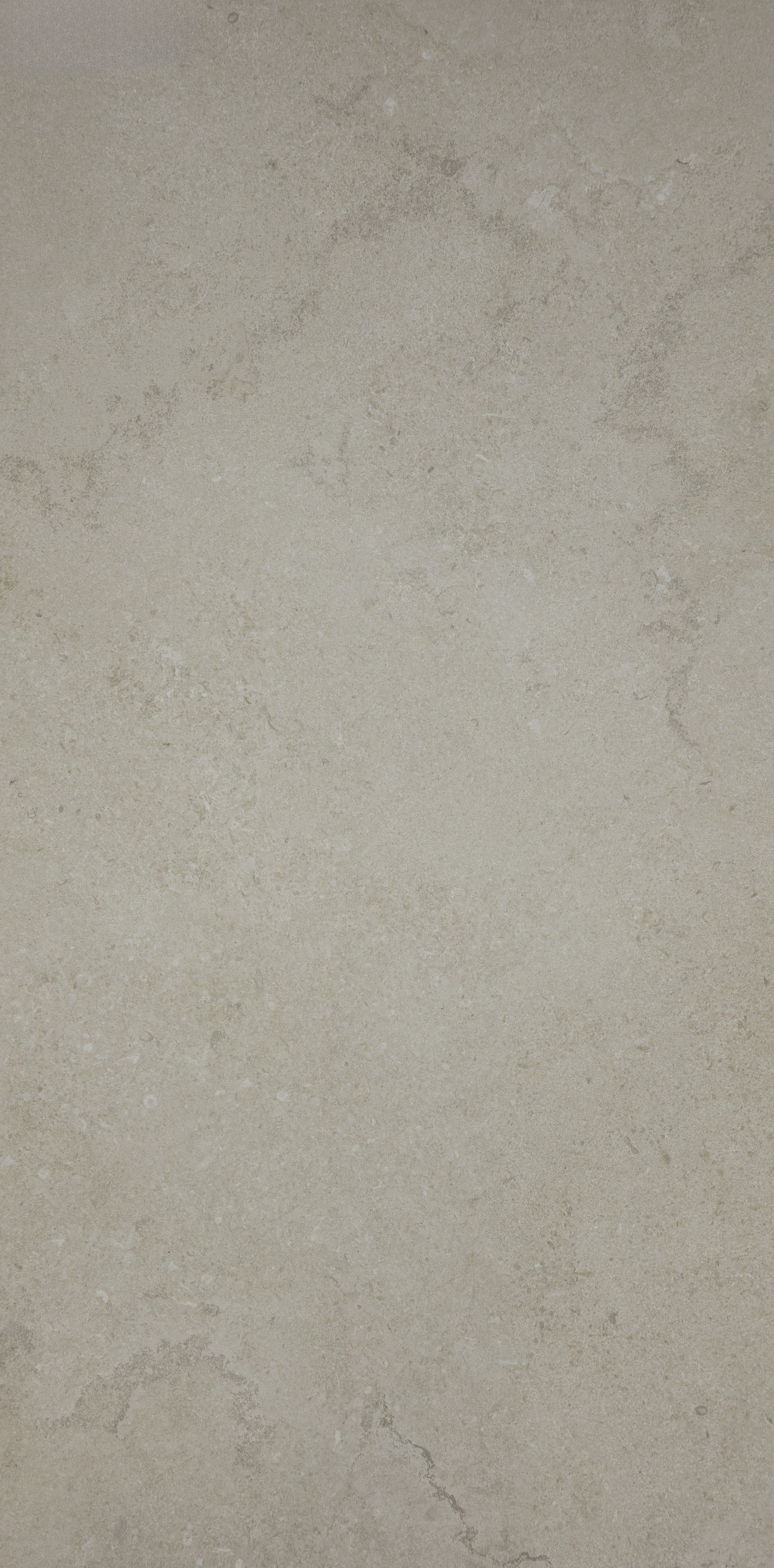 Portland Stone Bianco 12x24