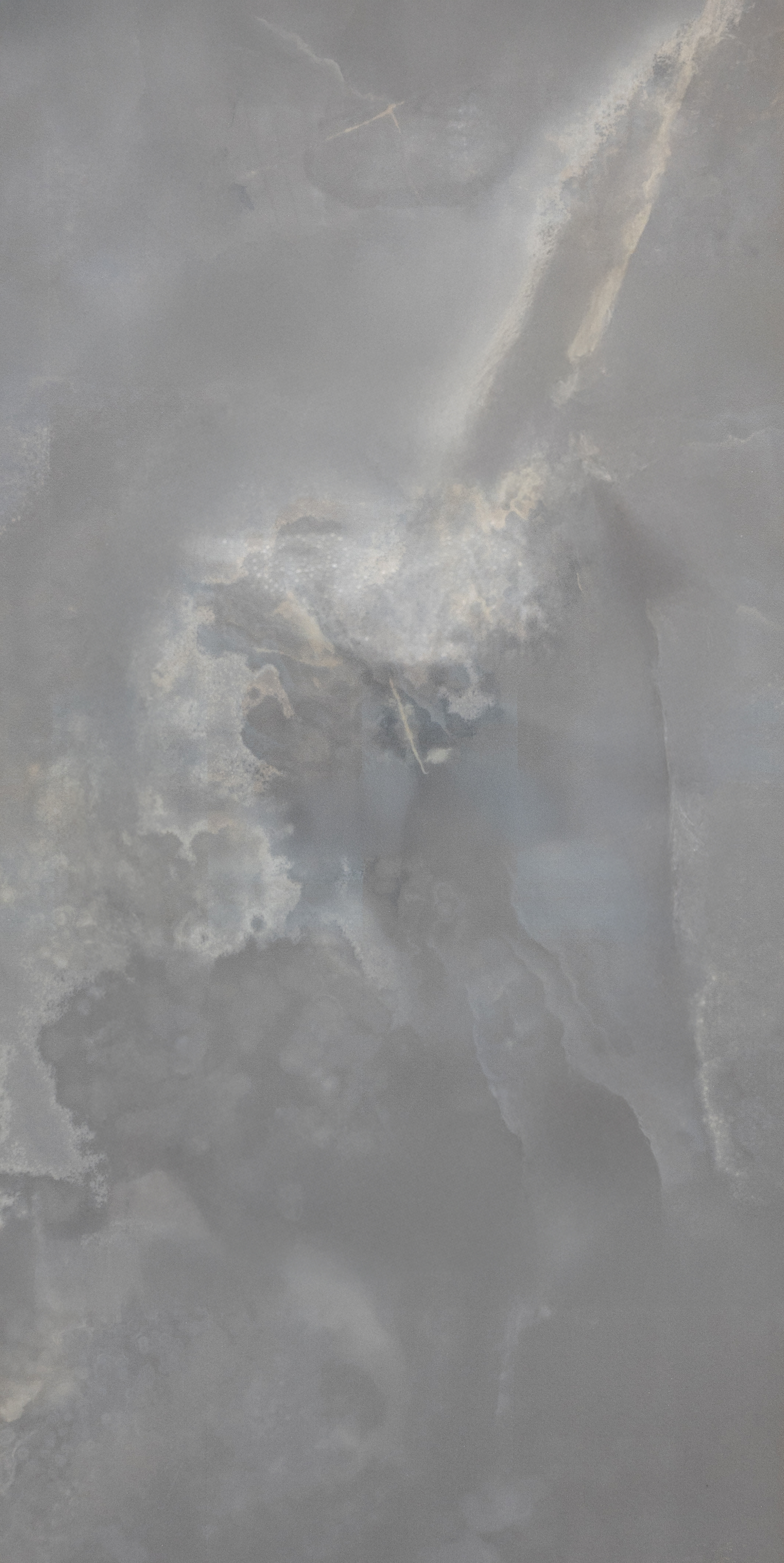 Rhino : Onyx Astral : Dorato Polished 12x24 (15.5SF) **NEW**