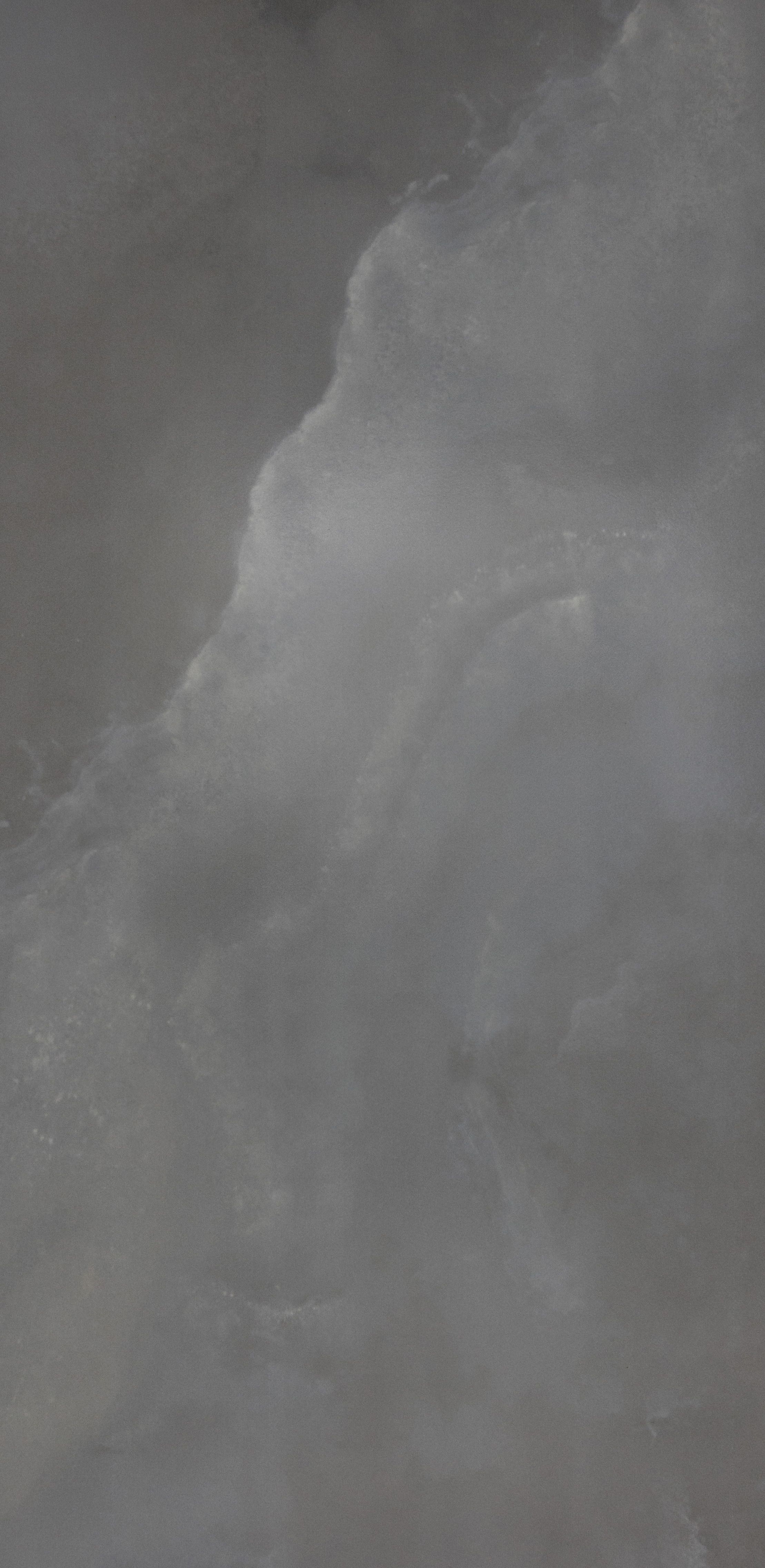 Rhino : Onyx Astral : Dorato Matte 12x24 (15.5SF) **NEW**