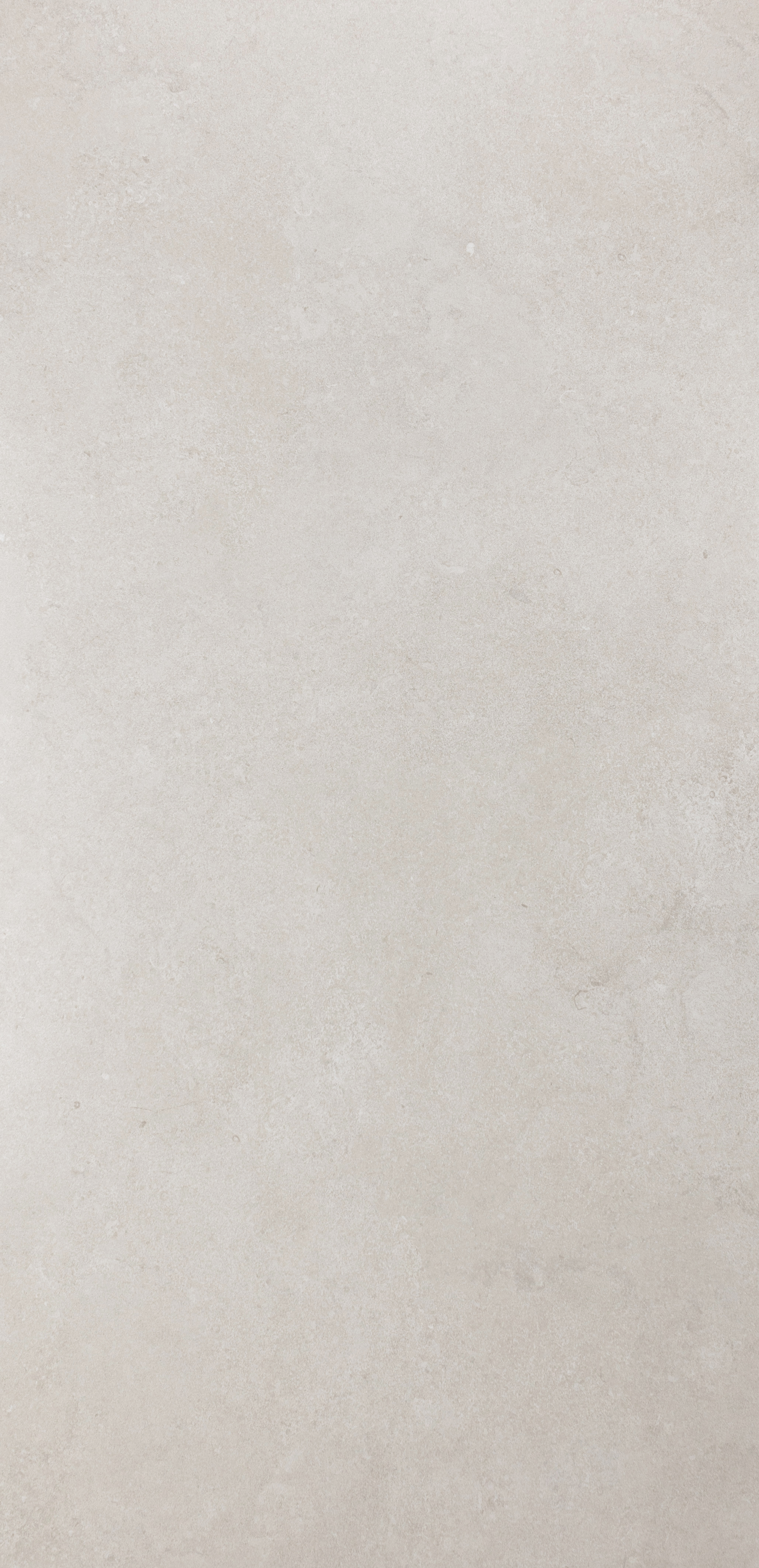 Rhino : Portland Stone Bianco Matte 24x48 (15.5SF) **NEW**