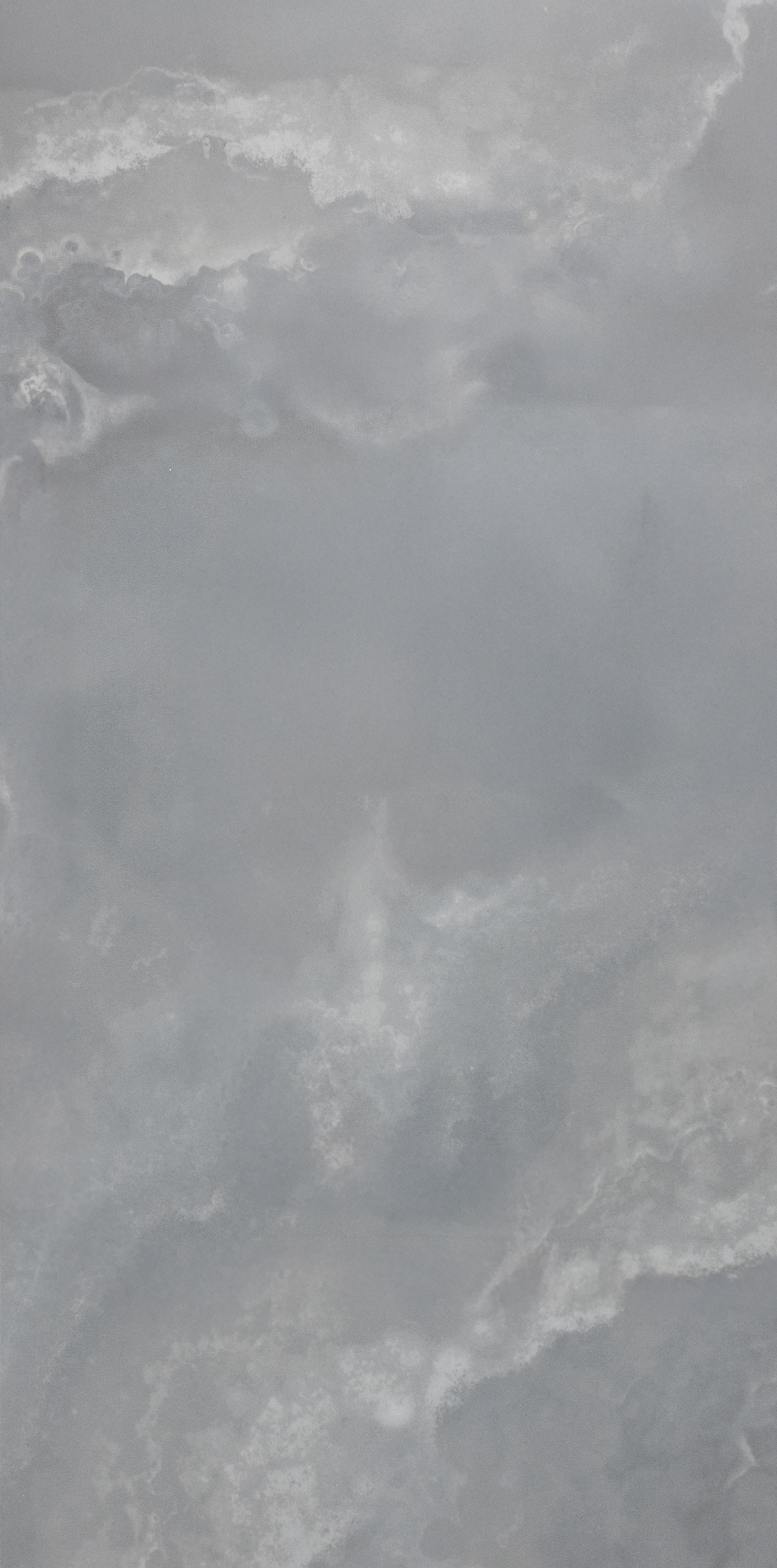 Rhino : Onyx Astral : Marrone Polished 12x24 (15.5SF) **NEW**