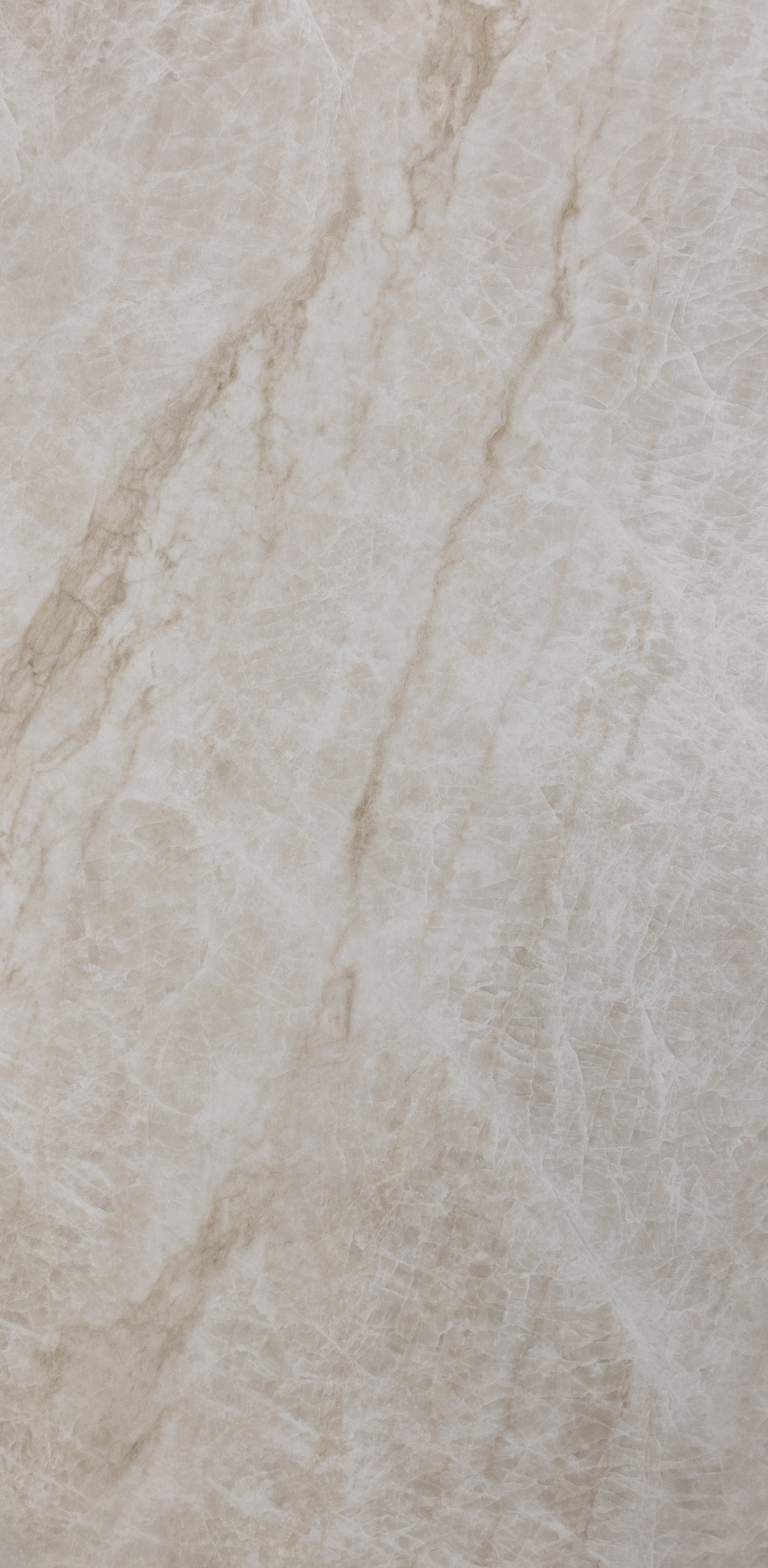 EcoCeramic : Kraken 24x48 (15.5SF) **NEW**