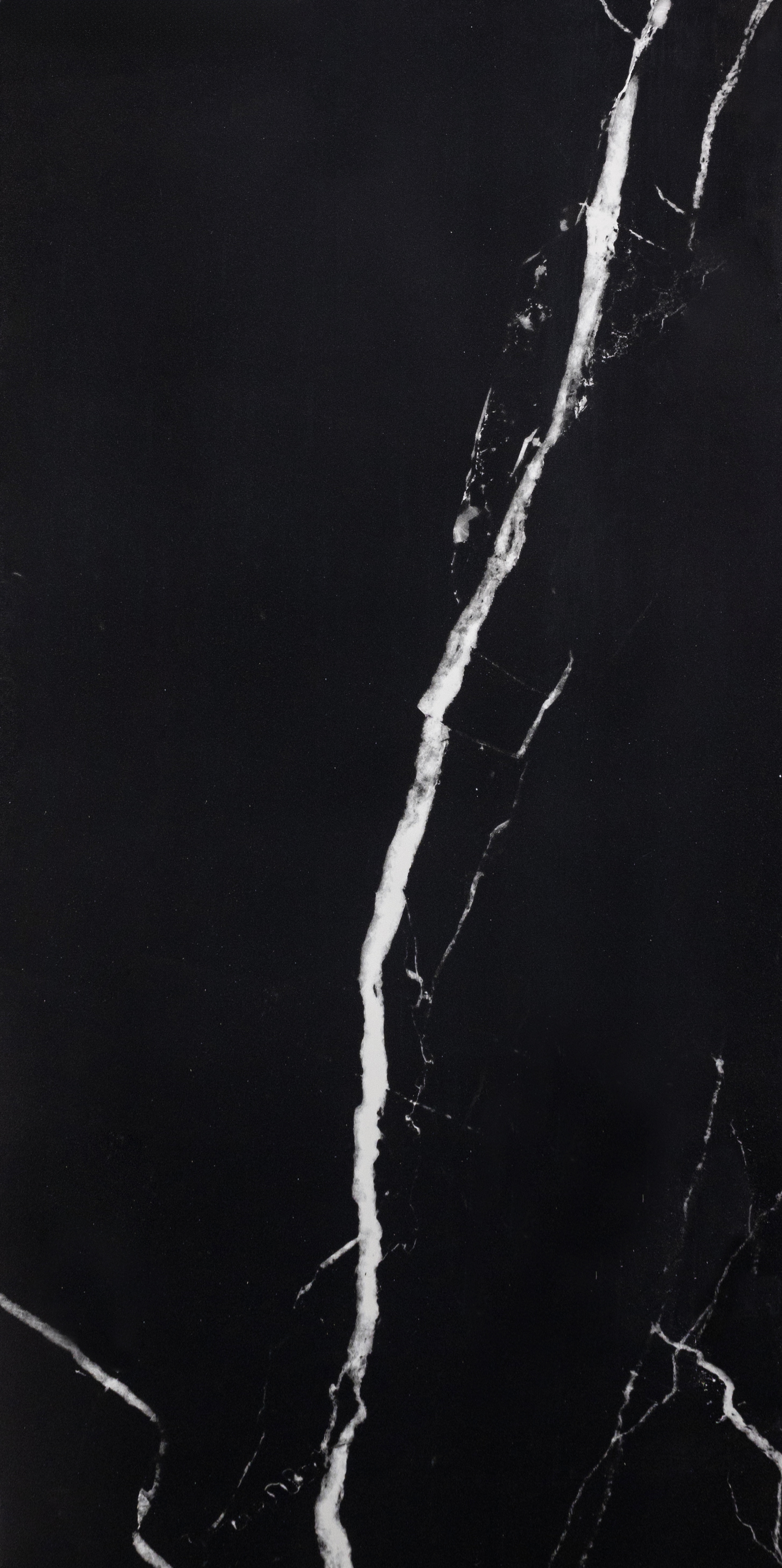 EcoCeramic : Shira Black Polished 24x48 (15.5SF) **NEW**