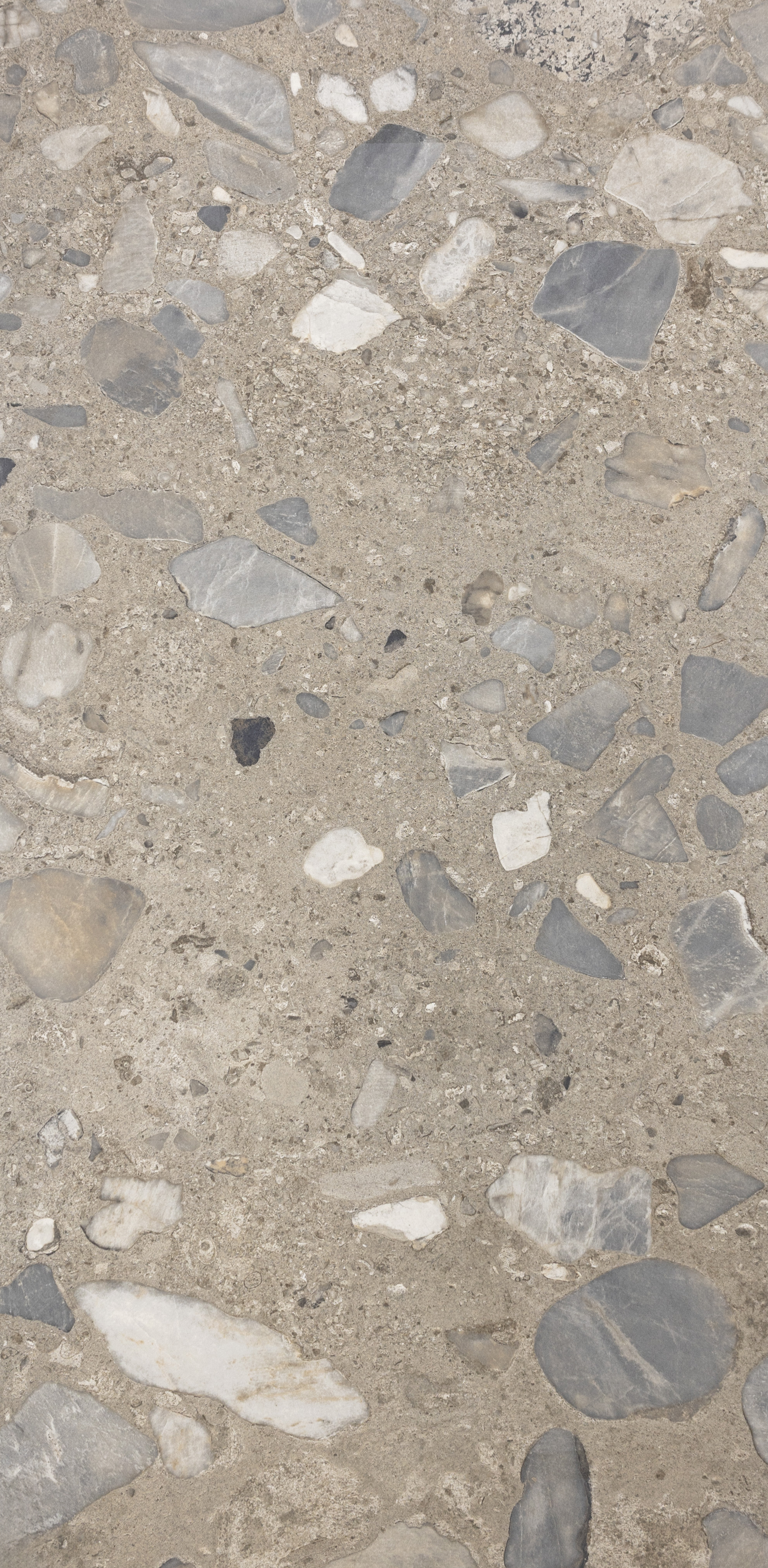 Fioranese : Sassi : Argilla Levigato Matte 24x48 (15.715SF)**NEW**