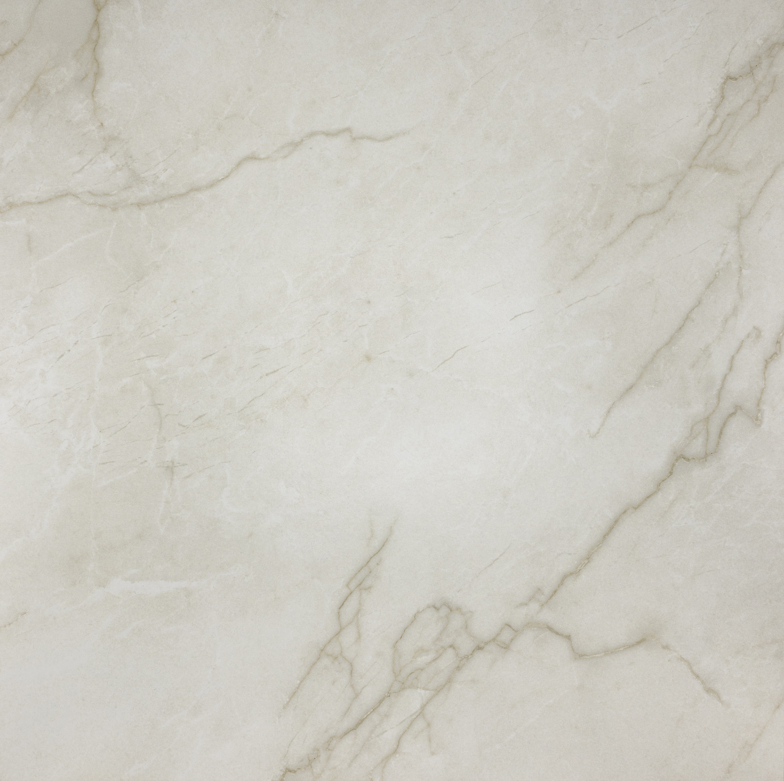 La Fenice : Segesta : Avorio 24x24 (15.5SF) **NEW**