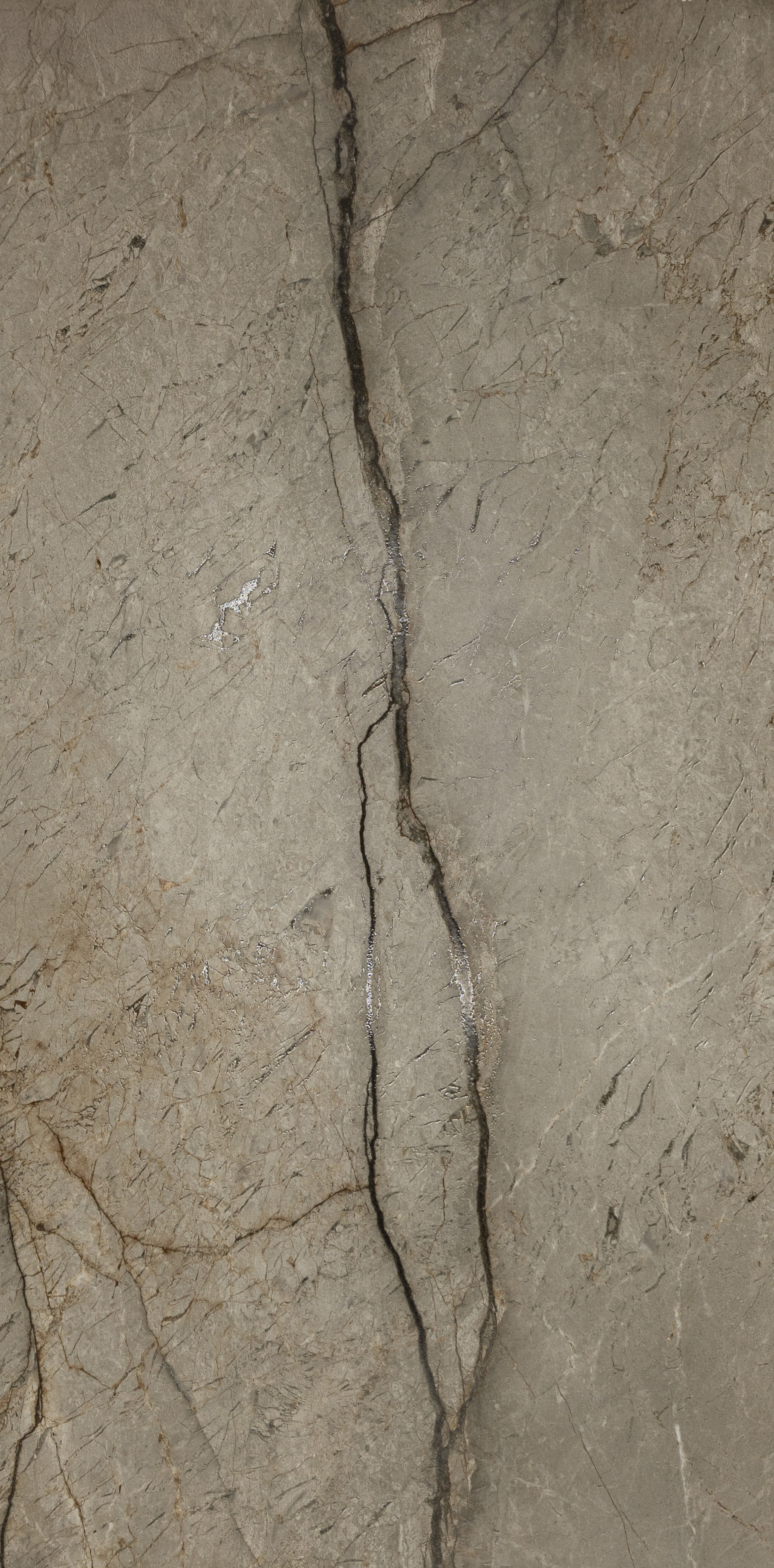 TIEIC : Roots : Natural 12x24 Carved (15.5SF)**NEW**