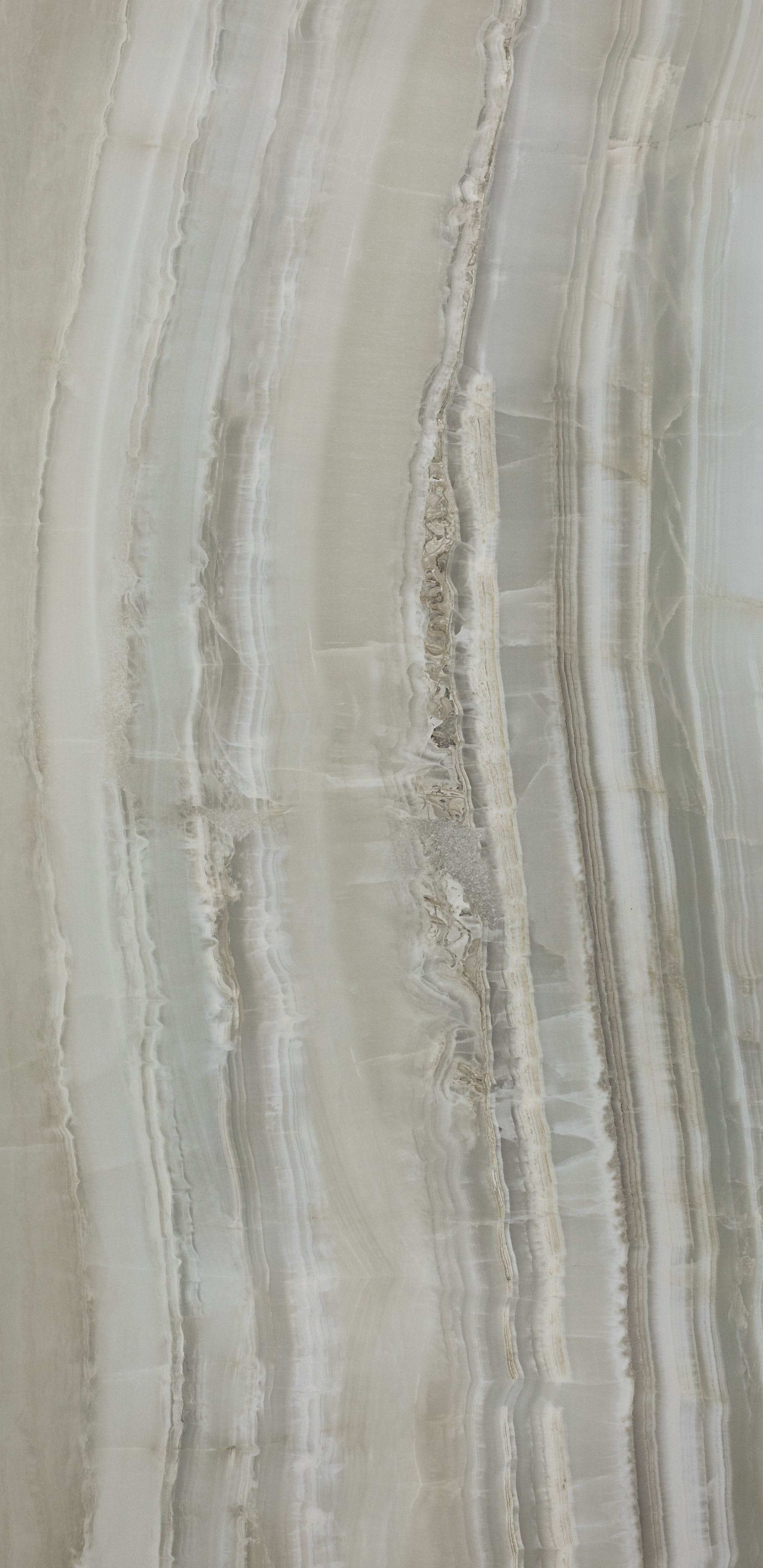 Ascot : Venus Veined : Jade Honed 24x48 (15.49SF)