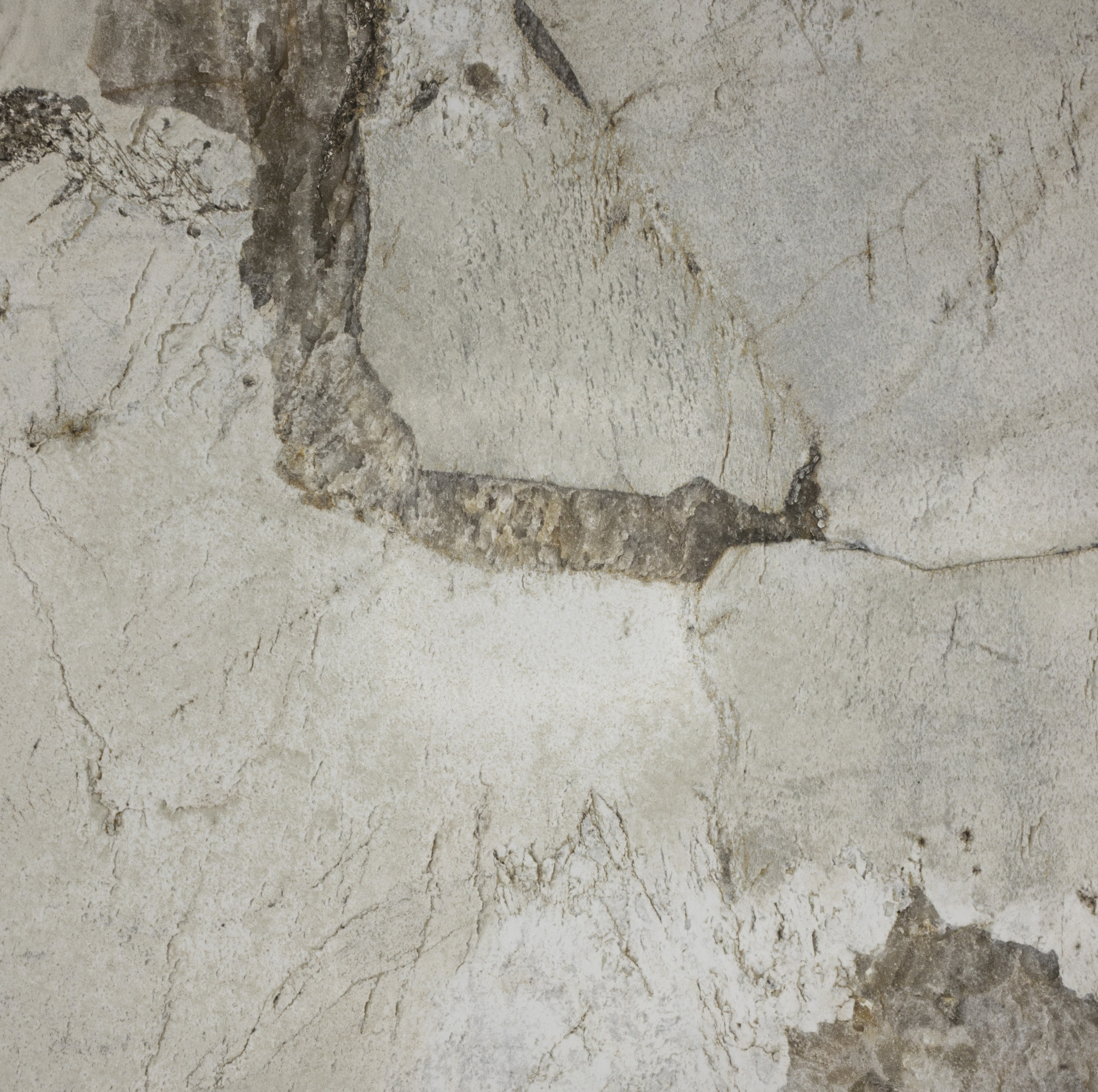 Pamesa : Patagonia Semipolished 24x24 (T) (15.49SF) New!!