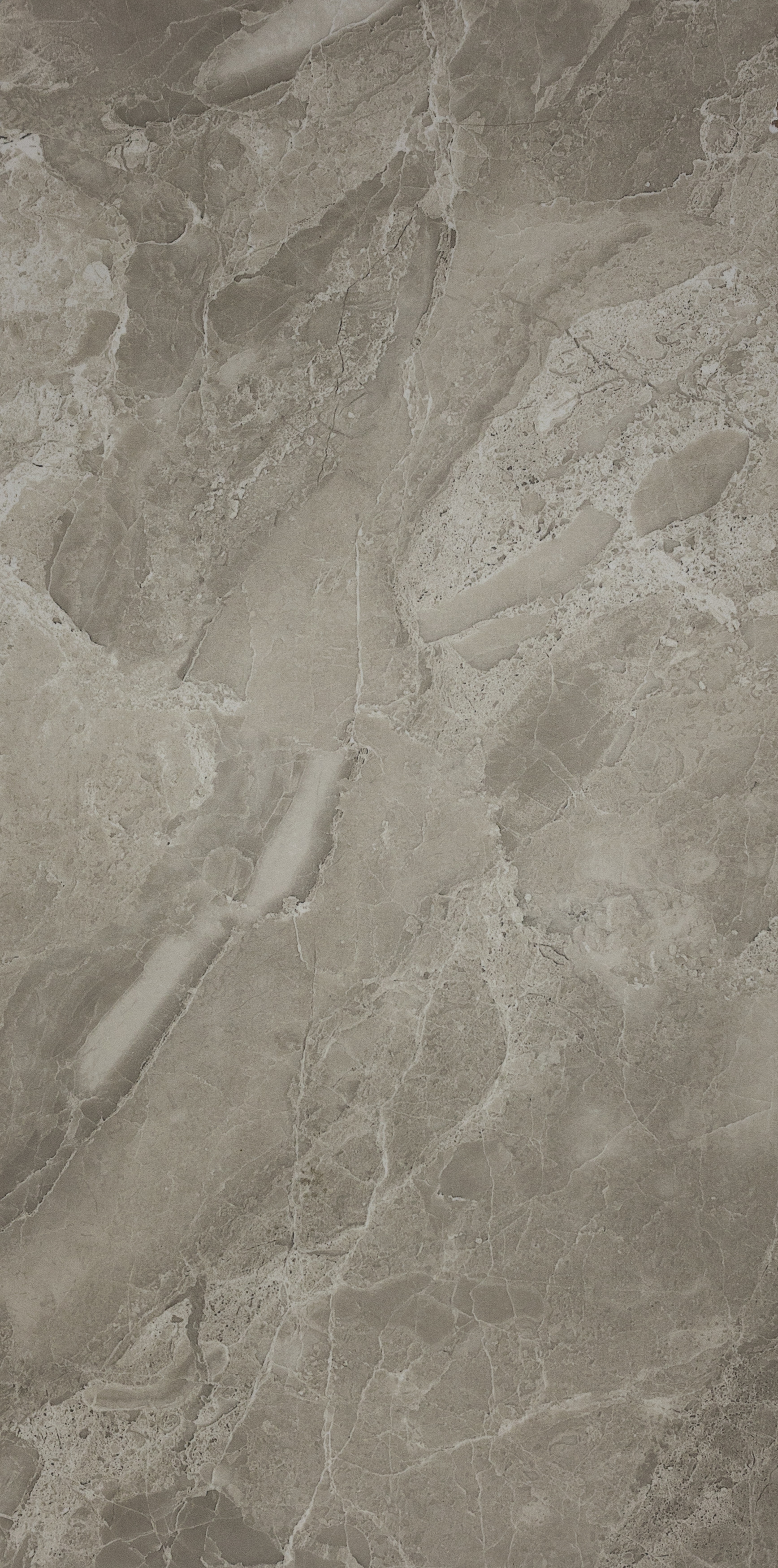 Siena Decor : Corina Pearl Matte (T) 12x24 (15.49SF)**NEW**