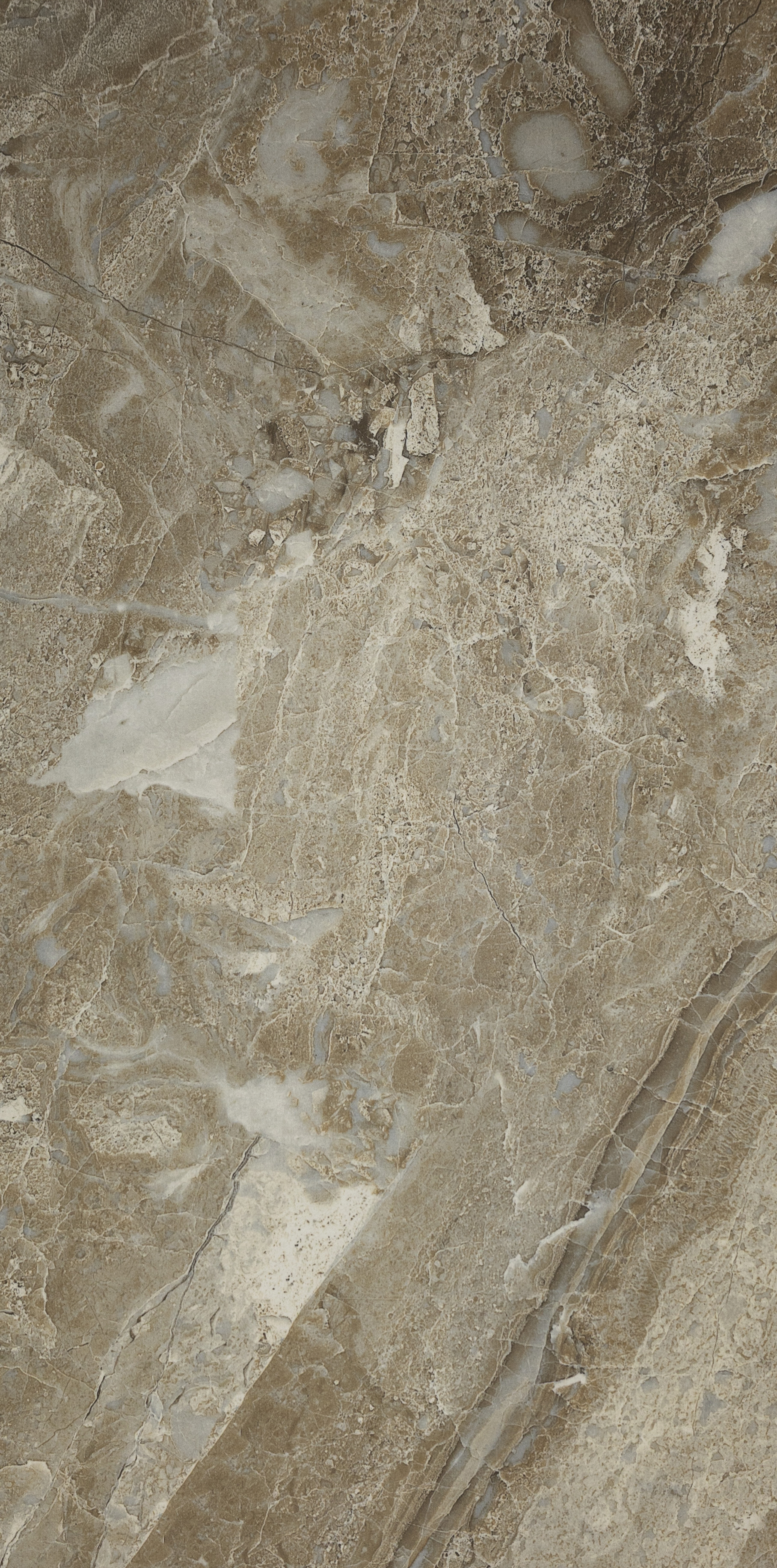 Siena Decor : Corina Brown Matte (T) 12x24 (15.49SF)**NEW**