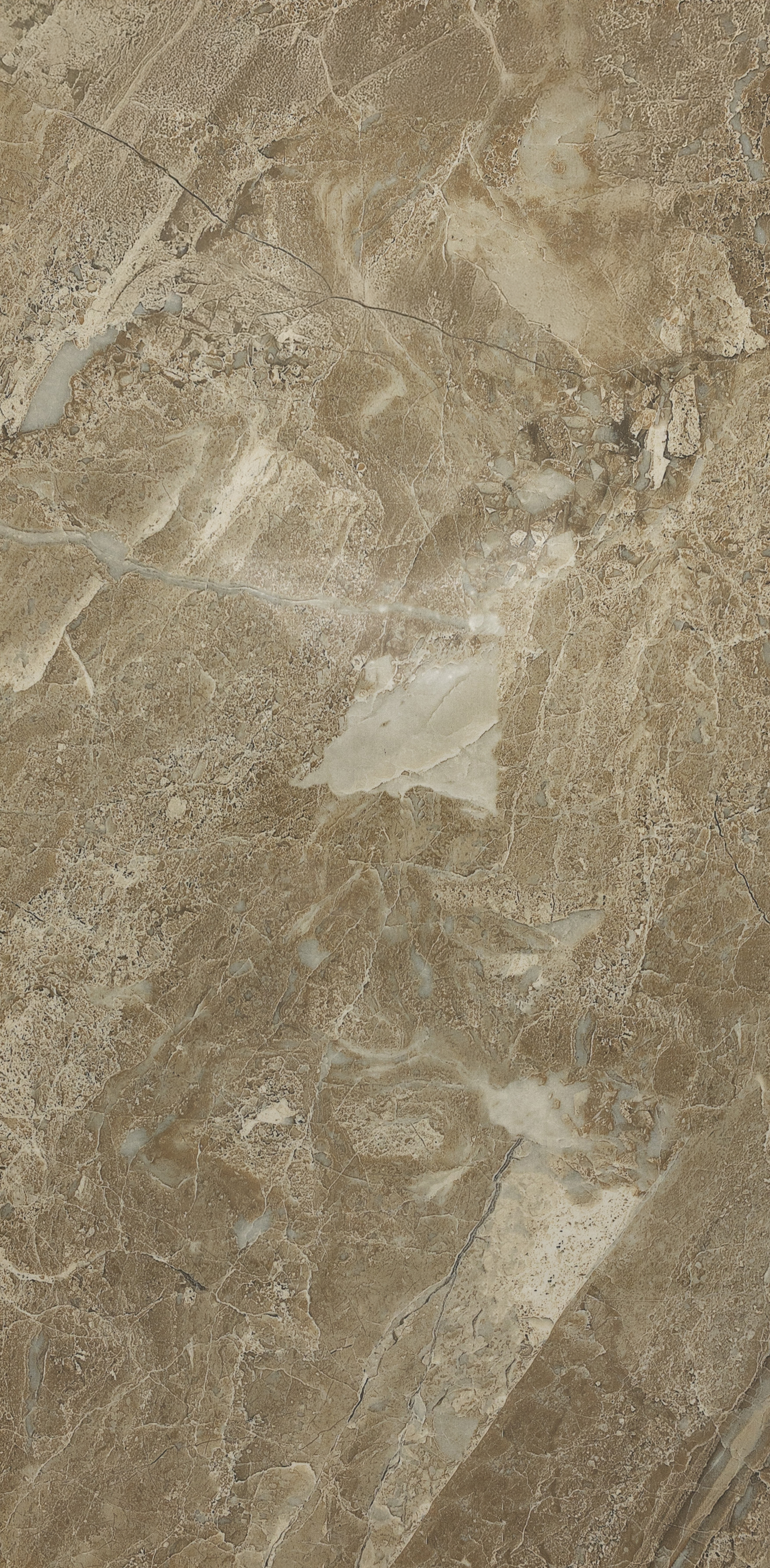 Siena Decor : Corina Brown Polished 12x24 (15.49SF)**NEW**