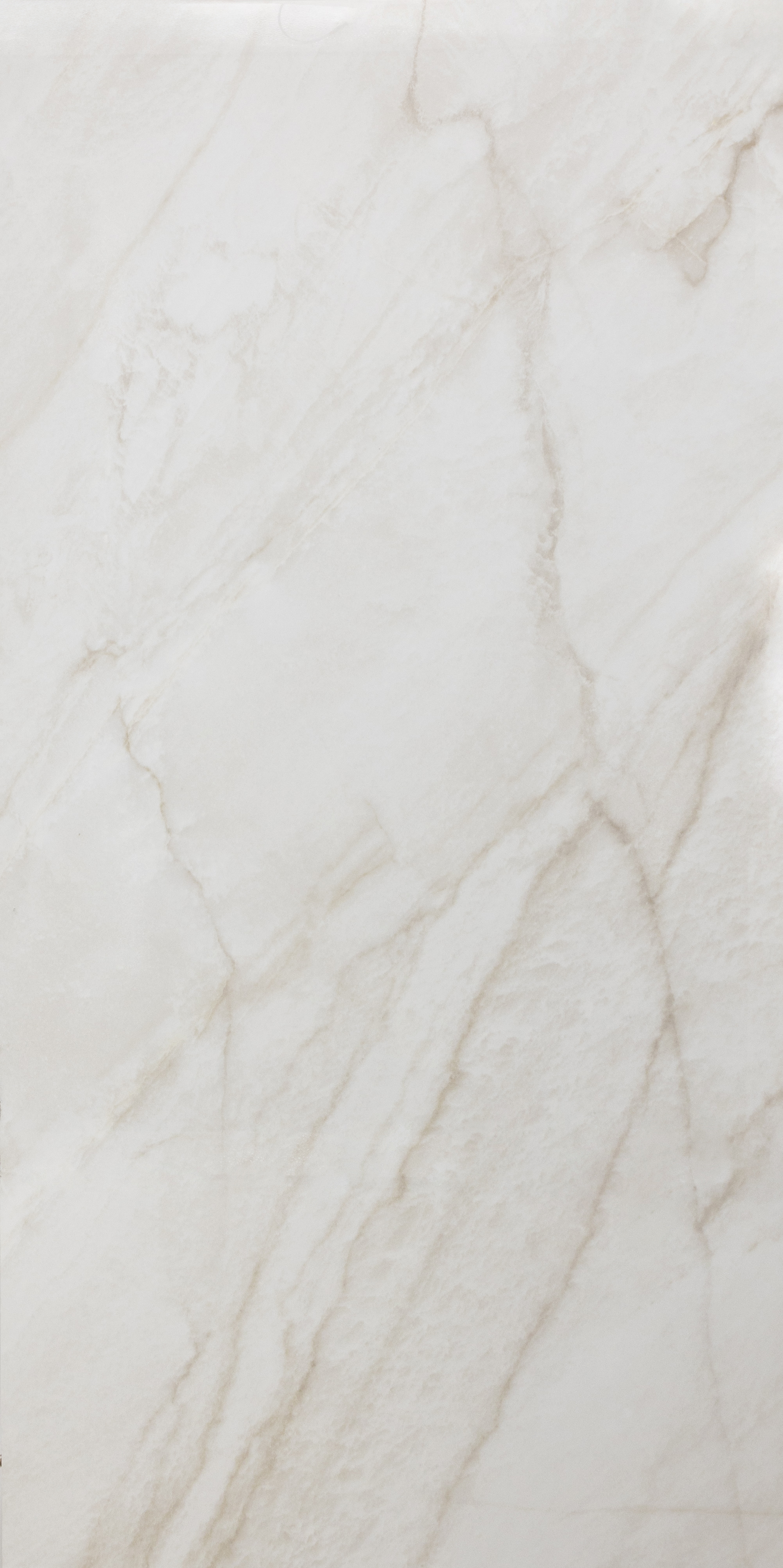 Navarti Ceramica : N. Clarke : Bone Polished 24x48 (15.5SF)**NEW**