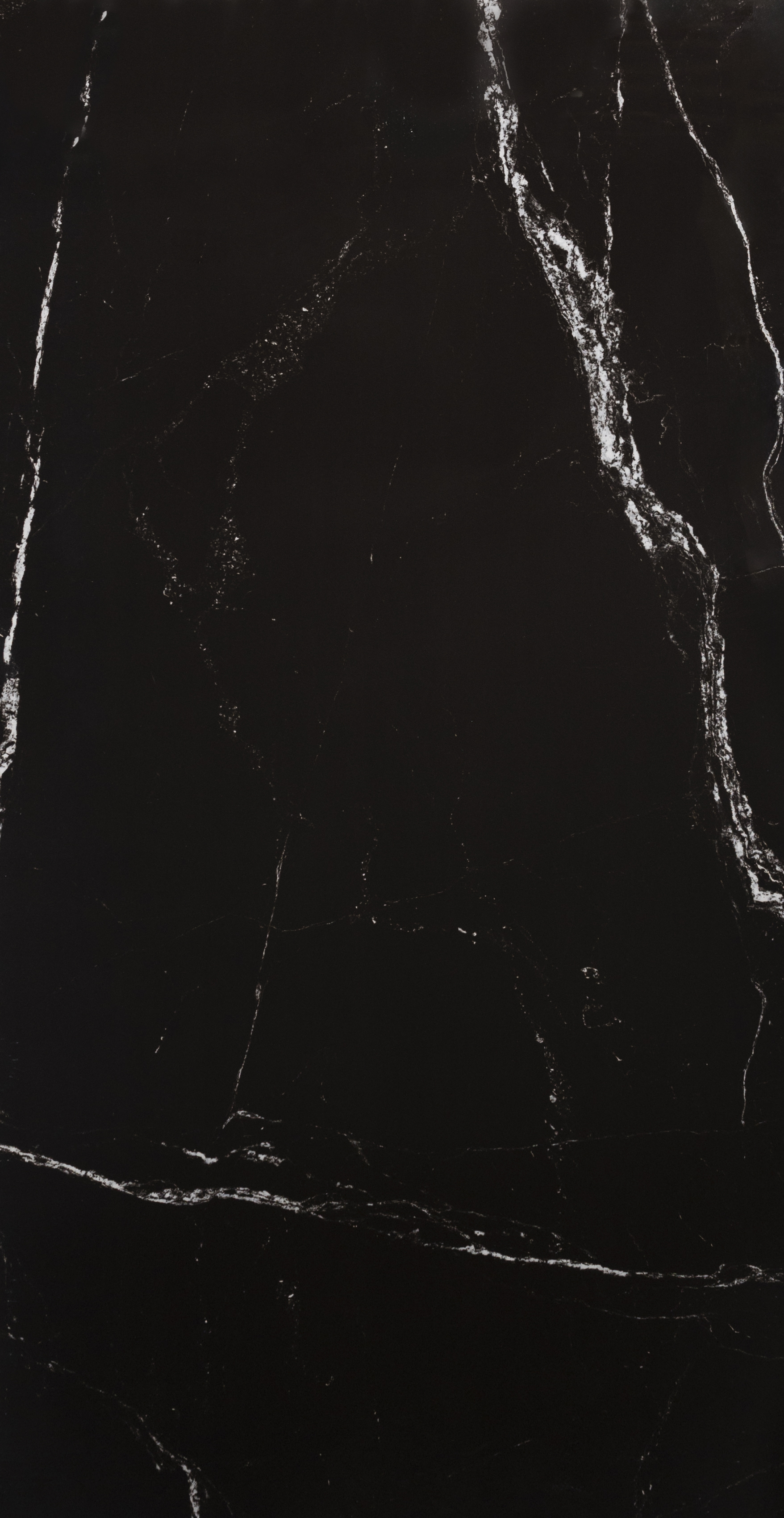 Bluetone : Florido Black Polished 24x48 (15.5SF) **NEW**