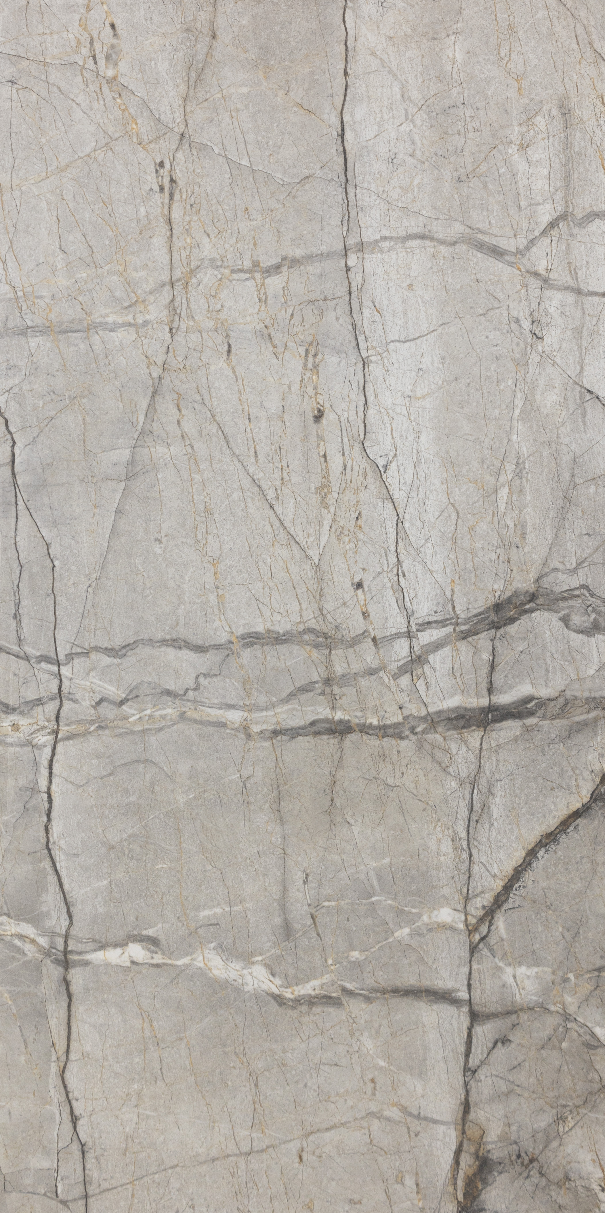 Bluetone : Avario Grey Polished 24x48 (15.5SF) **NEW**