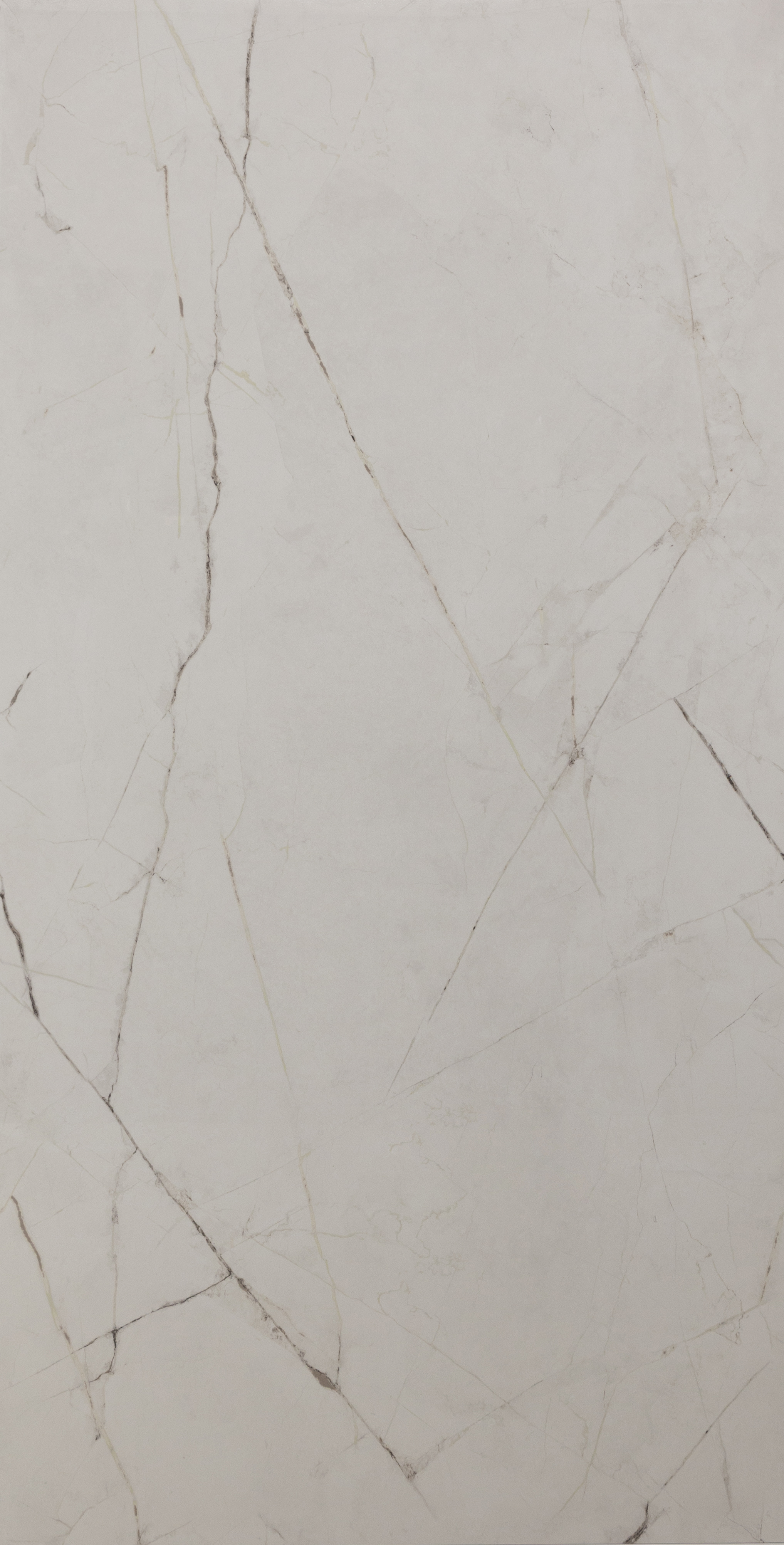 TIEIC : Splendore : Bianco Polished 24x48 (15.5SF)New!!