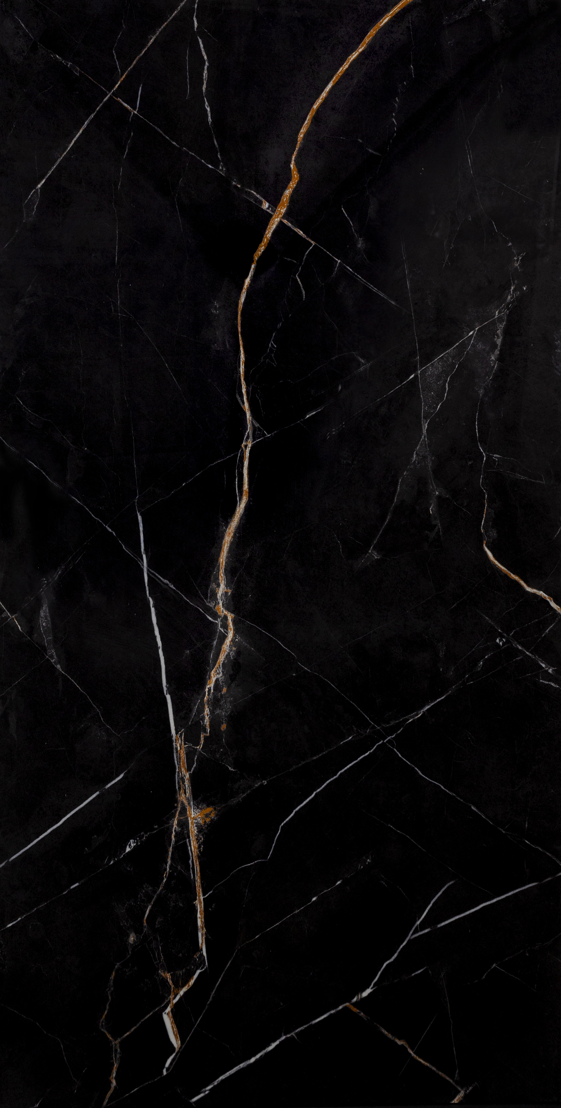 TIEIC : Splendore : Nero High Gloss 24x48 (15.5SF)New!!
