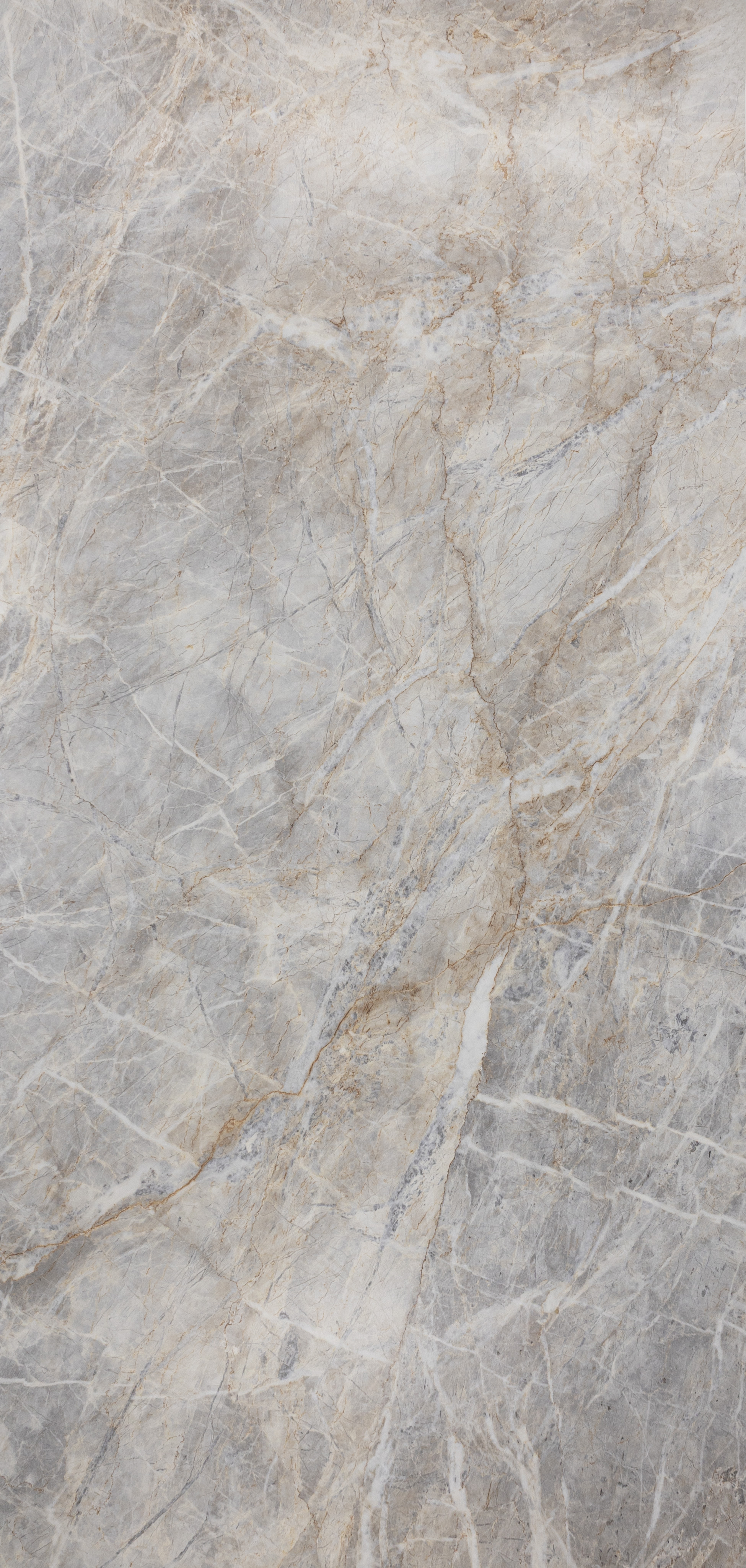 Italica : Widow Spider Natural Pearl 24x48 (15.5SF)New!!