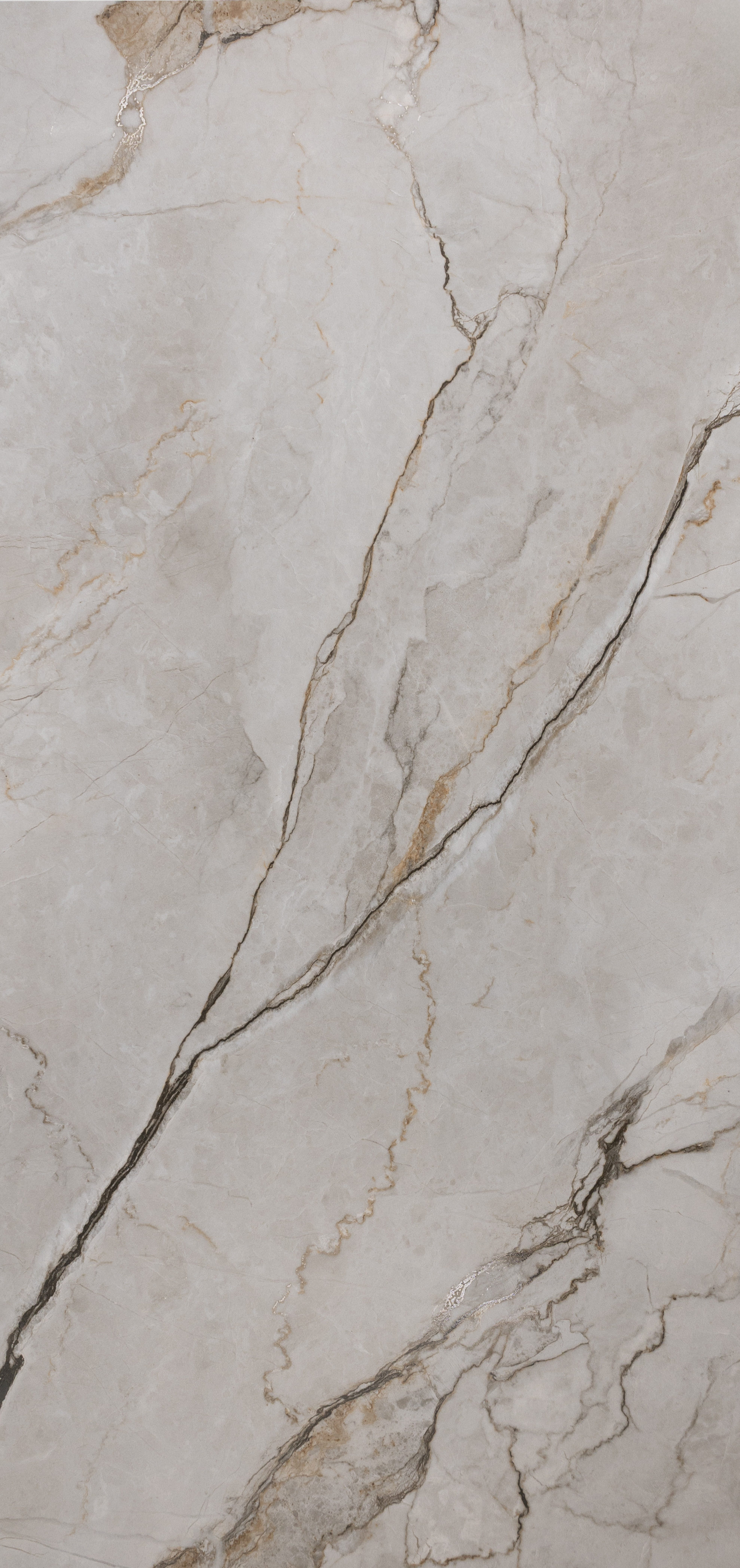 Italica : Silvamen Bianco Carved 24x48 (15.5SF)New!!