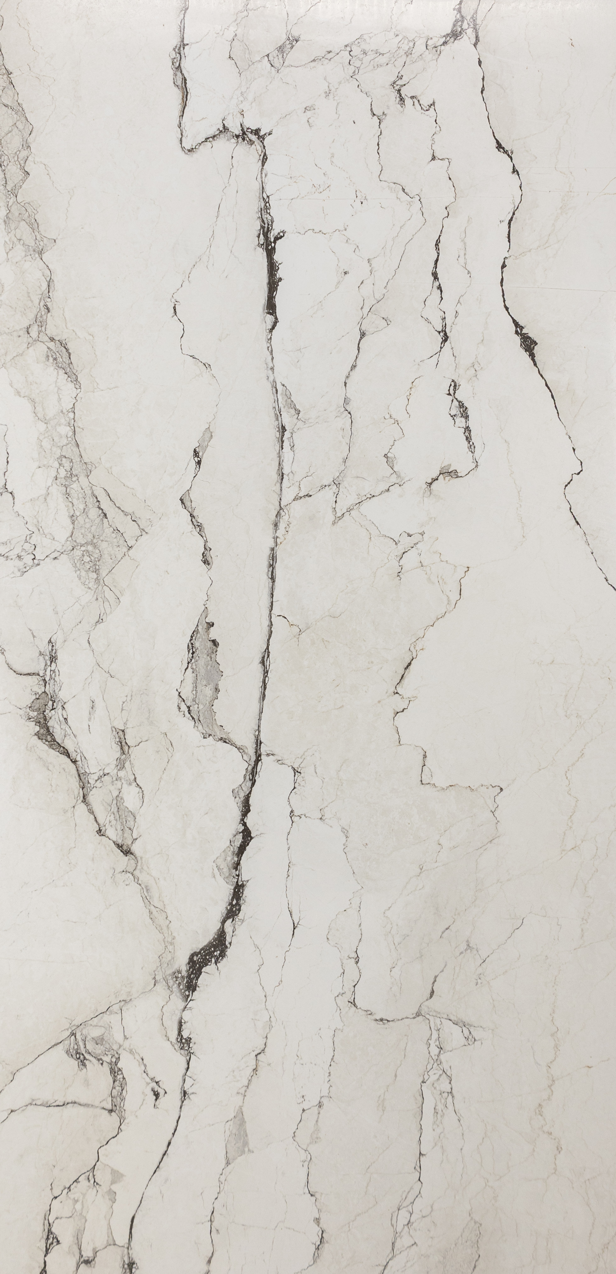 Italica : Dunav Lappato 24x48 (15.5SF)New!!