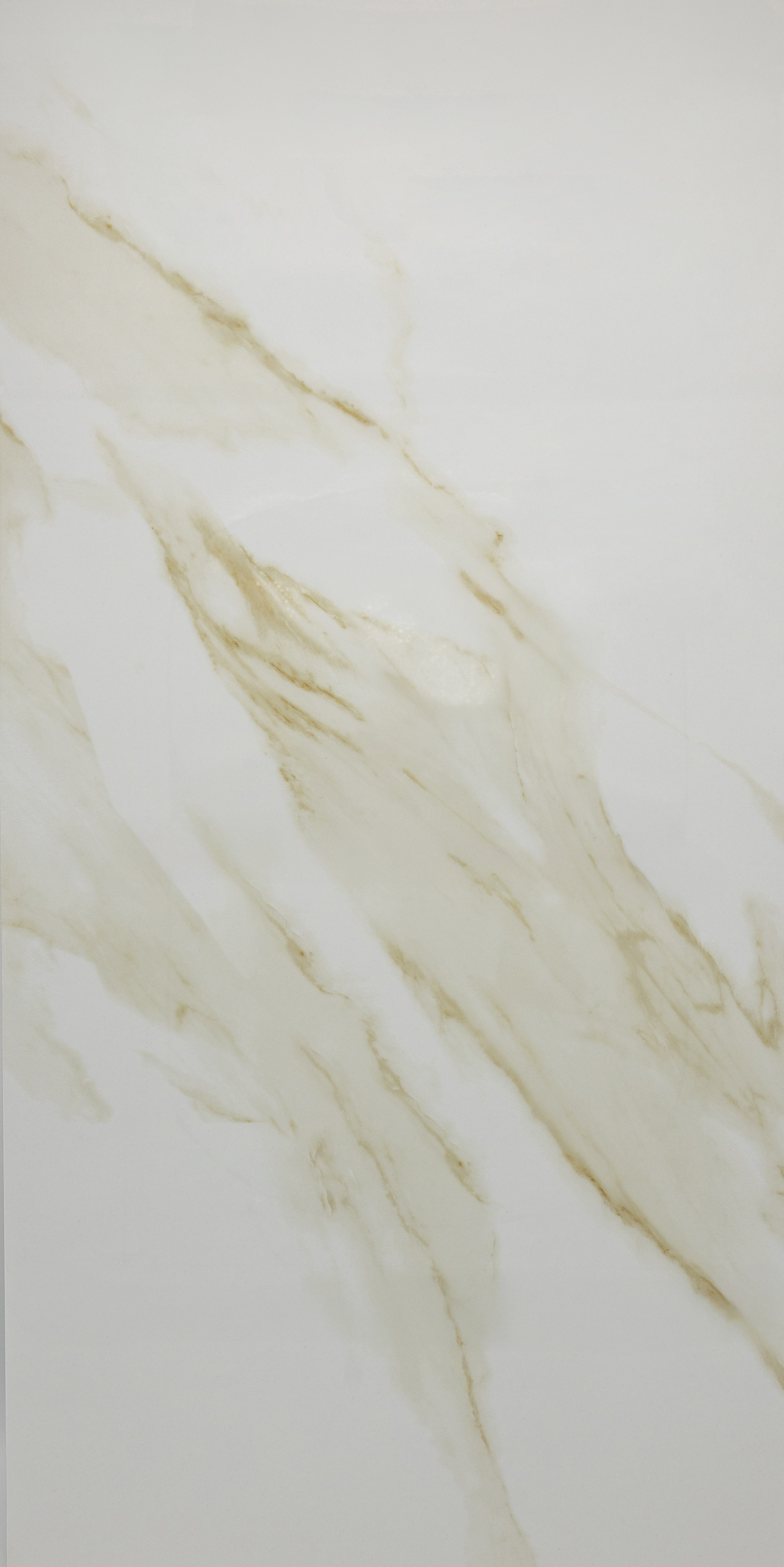 Statuary Gold Polished 12x24