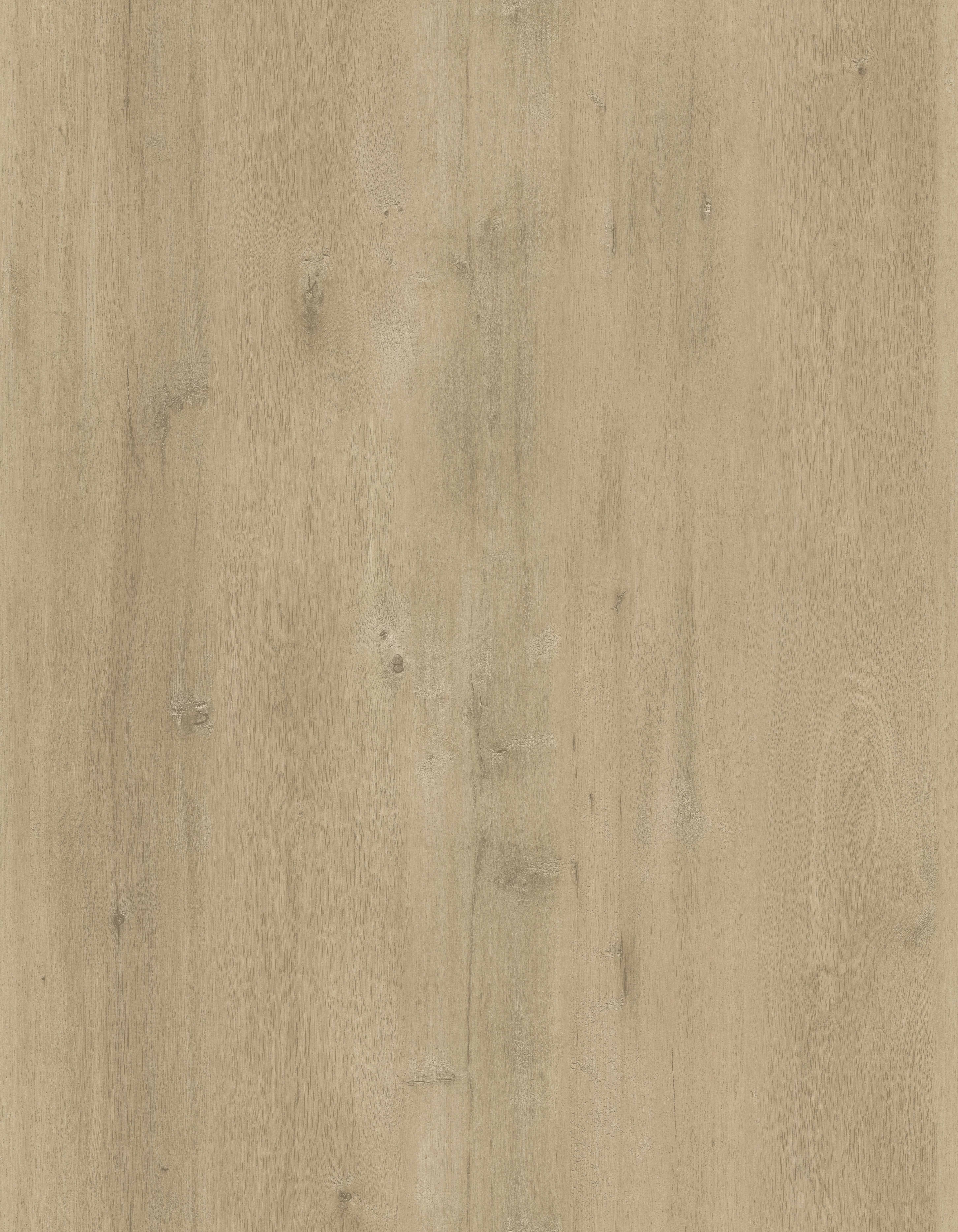 Rhino Rigid Max II : Bighorn 6mm 9x60 w/30mil (29.45SF)