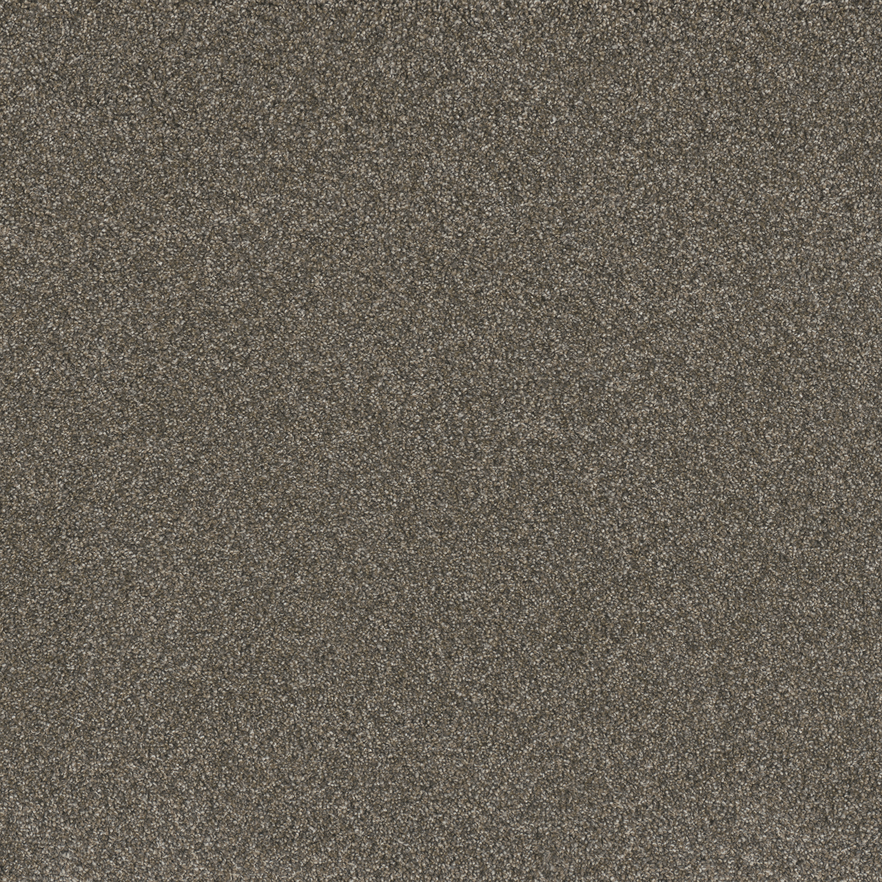 Dream Weavers: 4066: Gold Standard III, 2316: Pewter