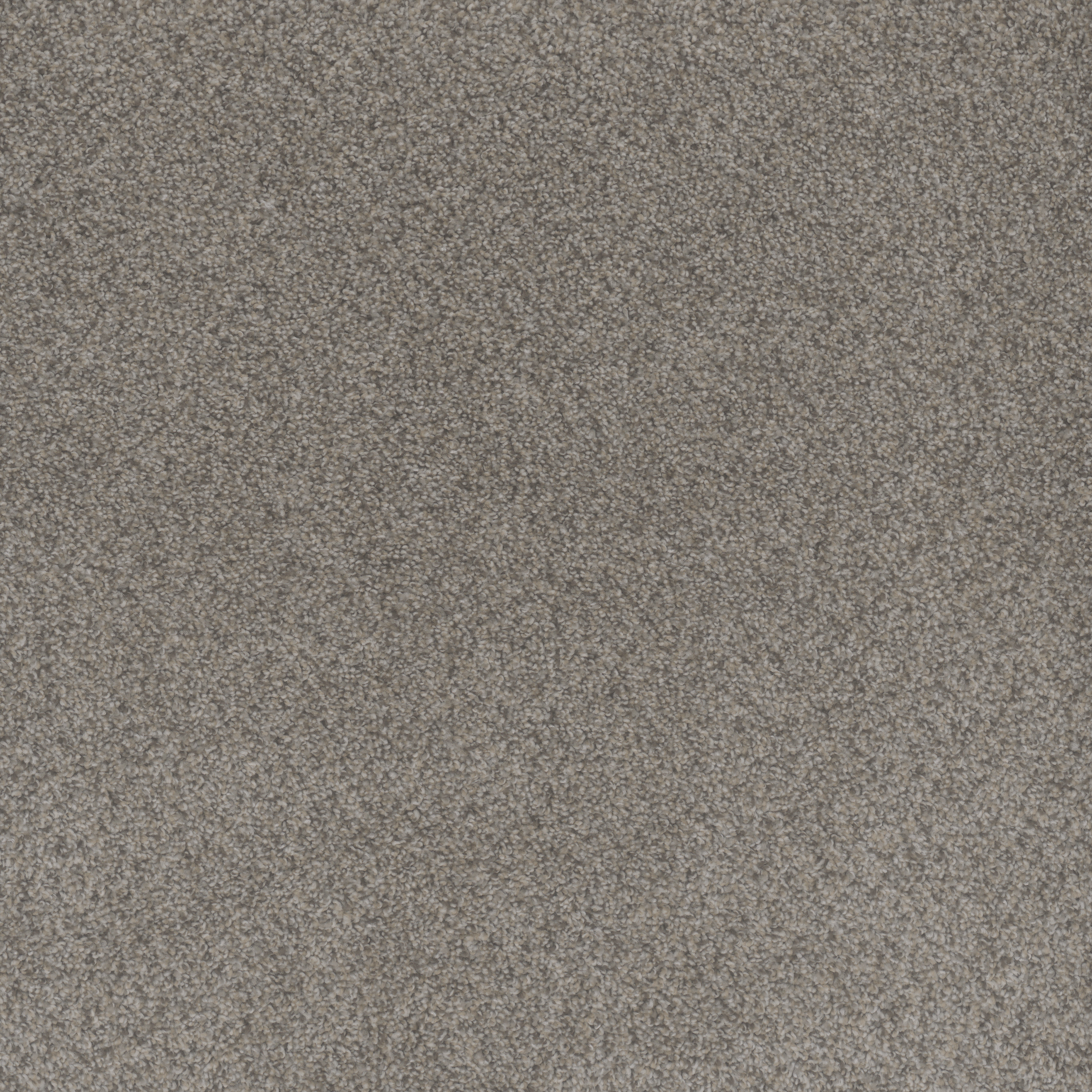 Dream Weavers: 1430: Beach Club II, 4470: Canyon