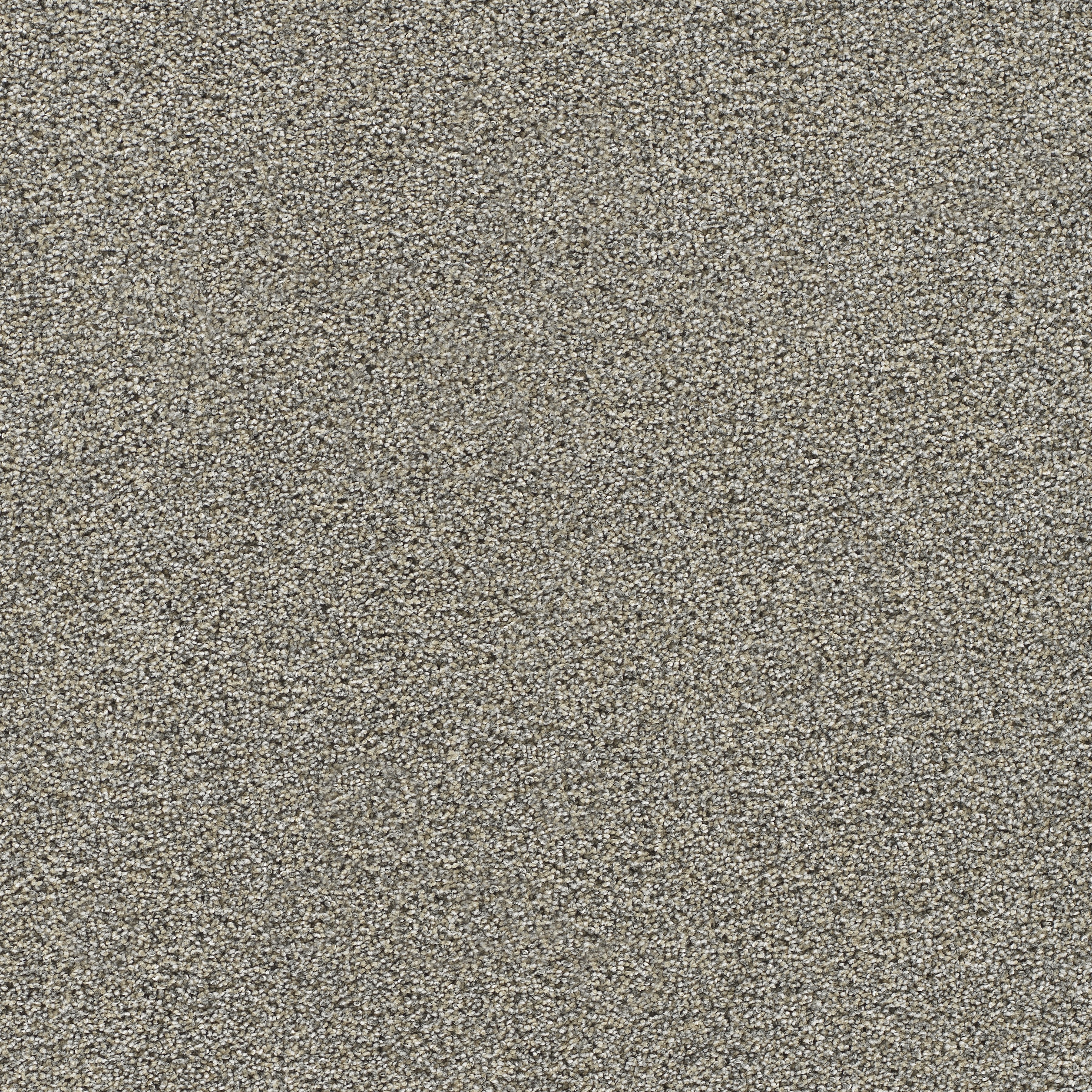 Gold Standard III color 2057