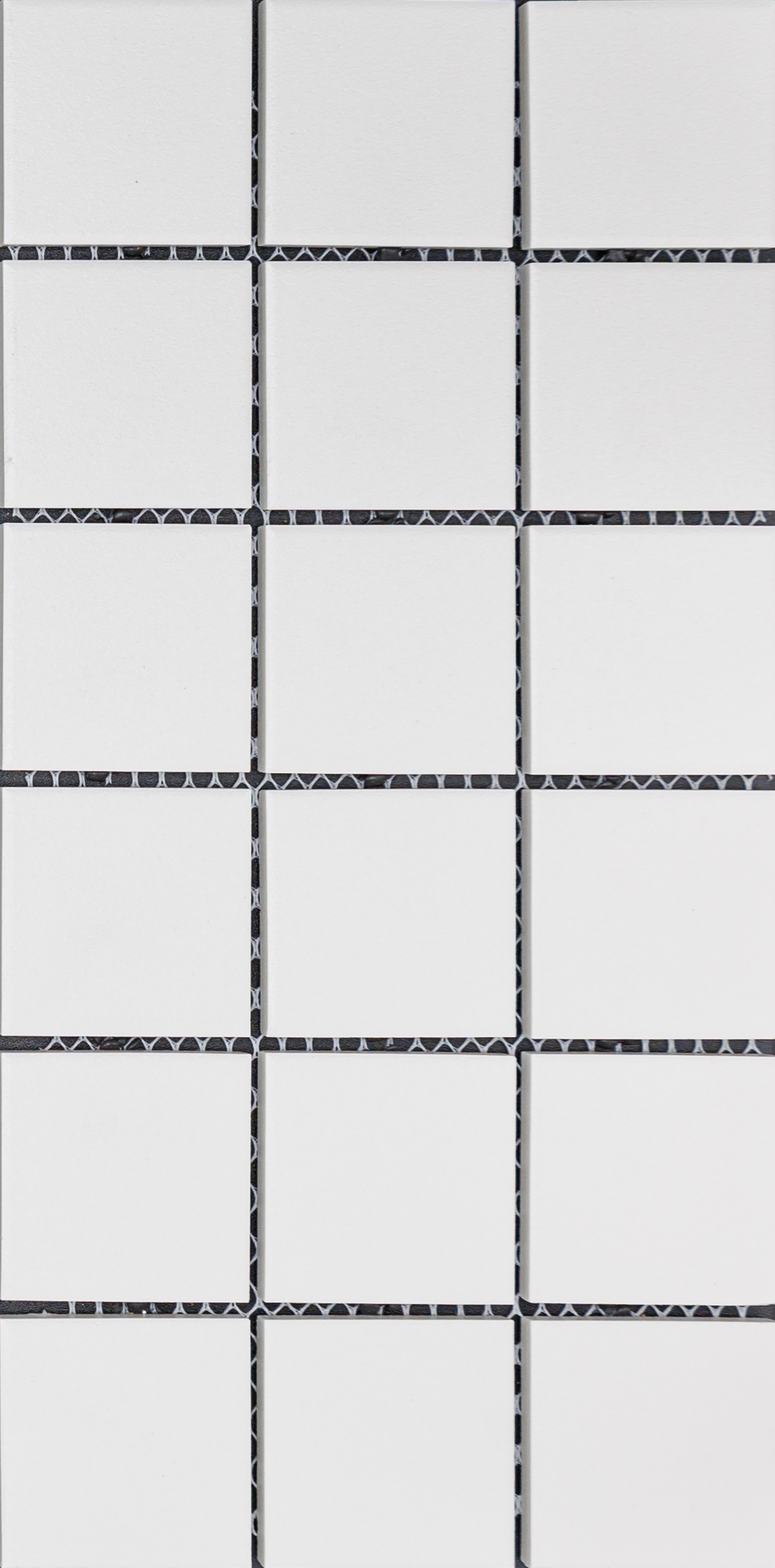 Rhino : Sage : White 2