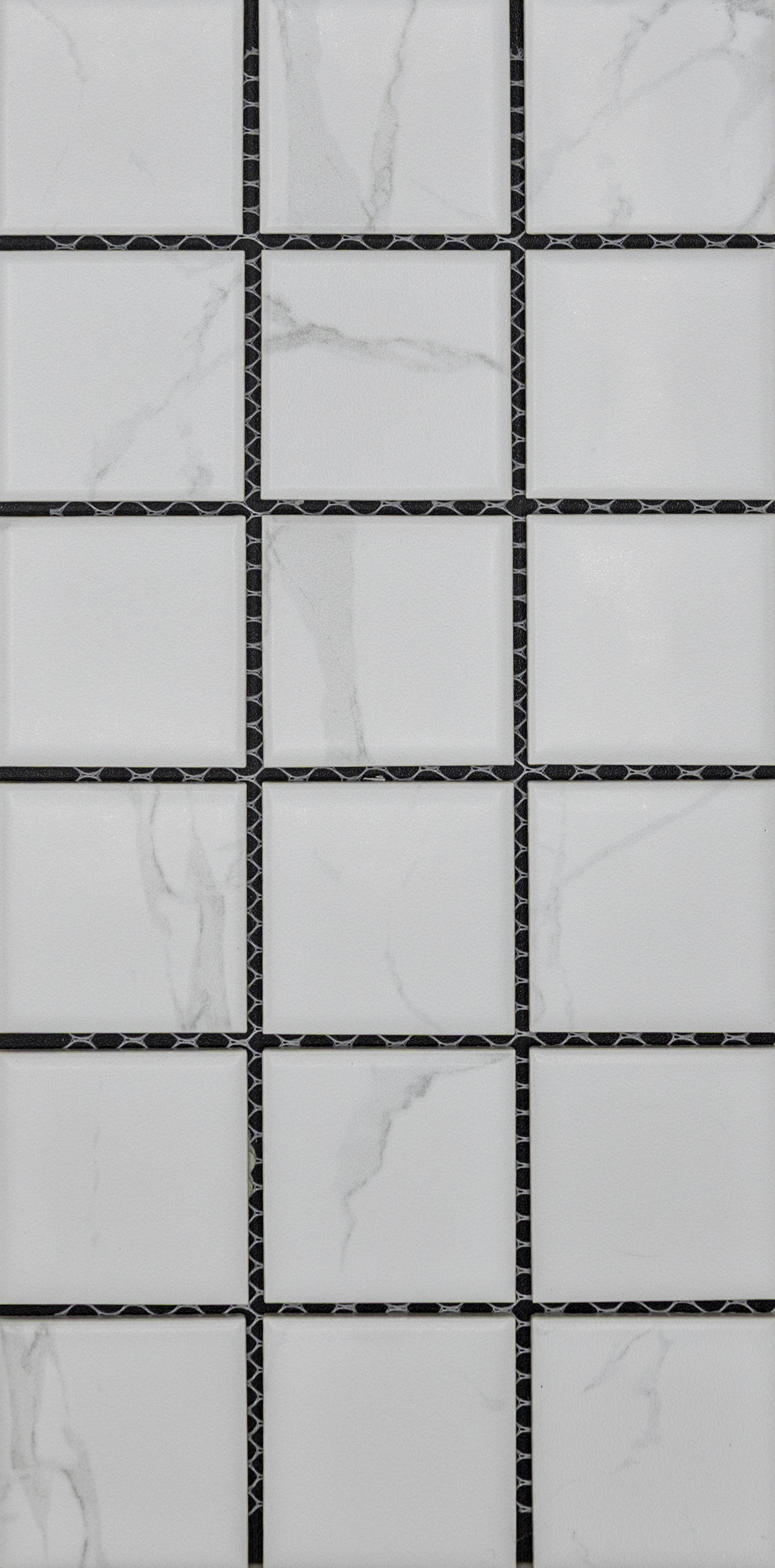 Rhino : Staturio White Matte 2