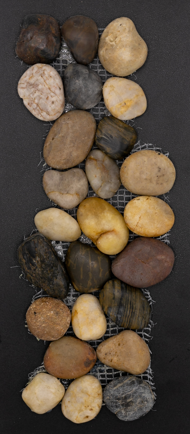 Rhino : Polished Round Pebble Mesh 12x12(PT-104) Mixed(11 per box)