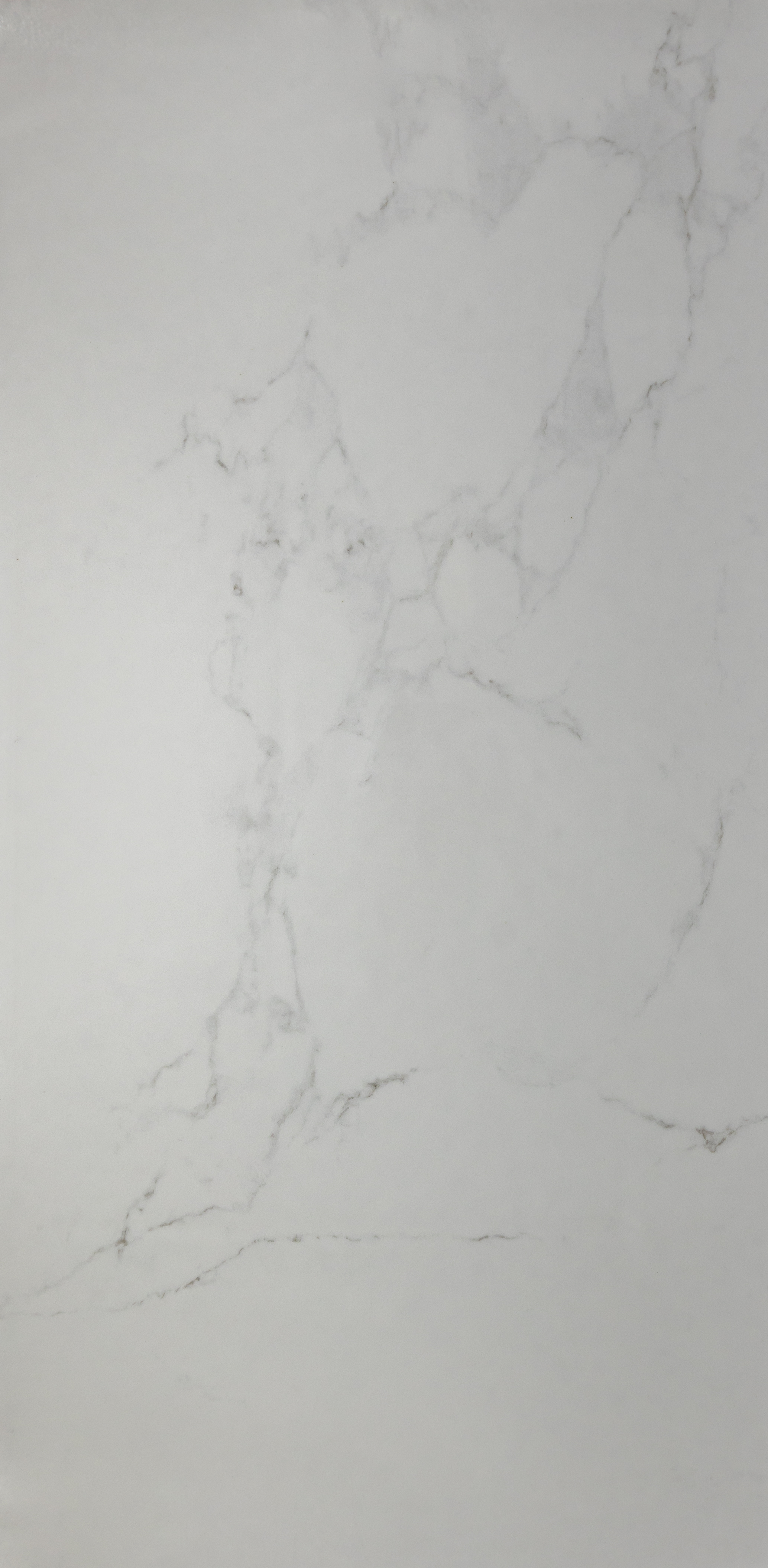 Praia Carrara Polished 24x48