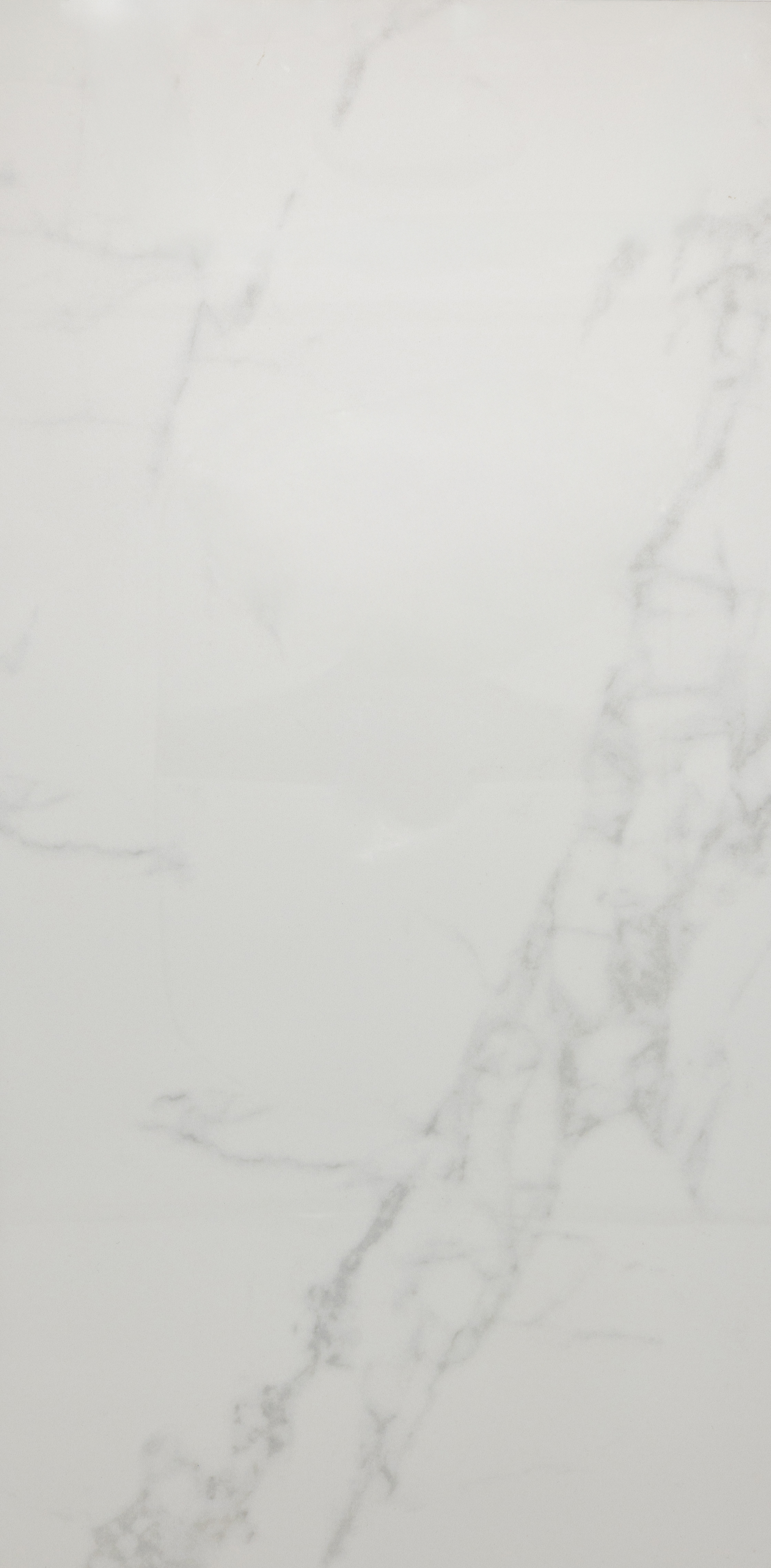 Ellum Polished 12x24