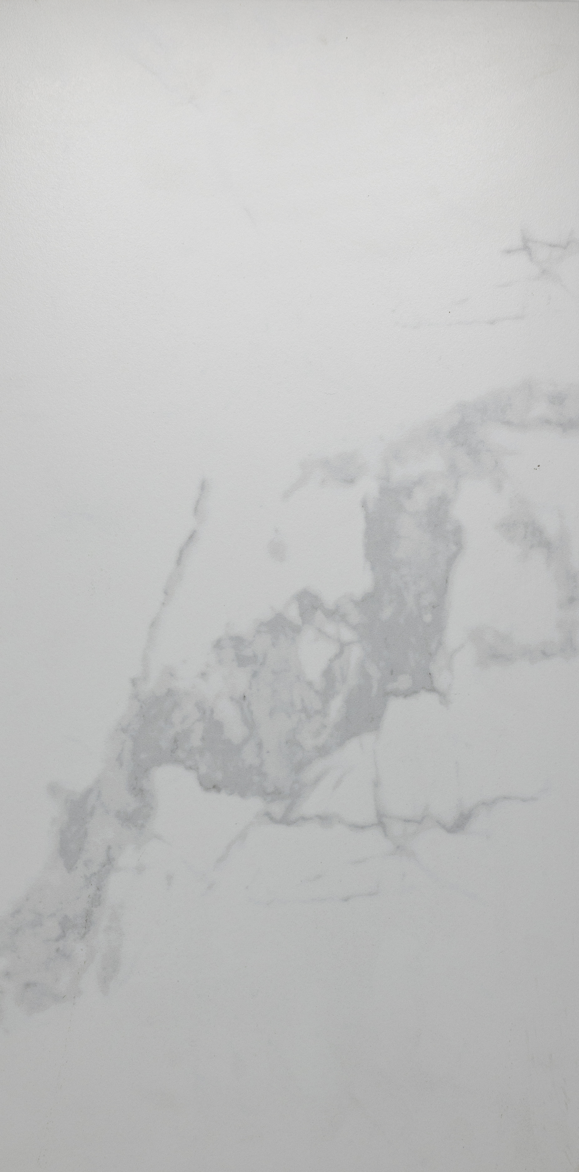 Rhino : Ellum Matte FV637300A 12x24 (15.9SF)