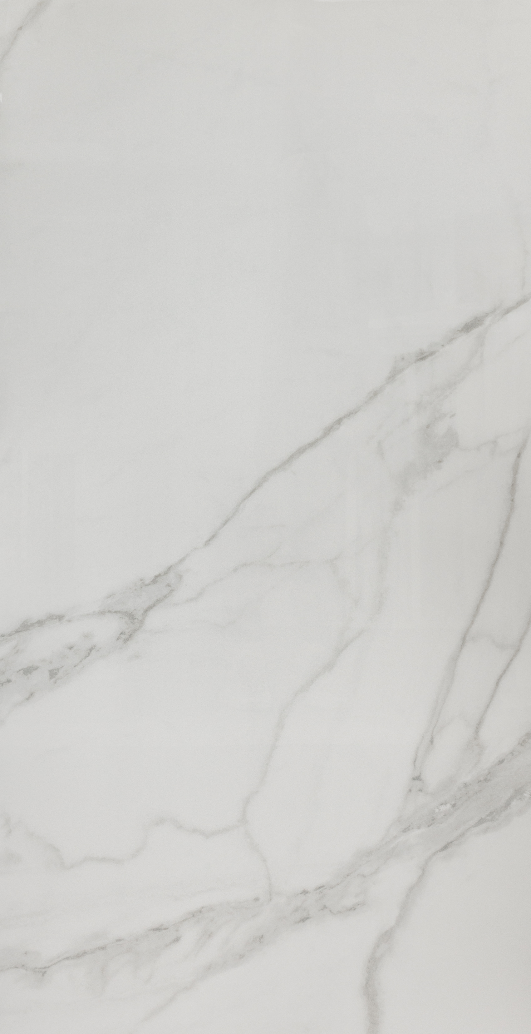 Classique Polished 24x48