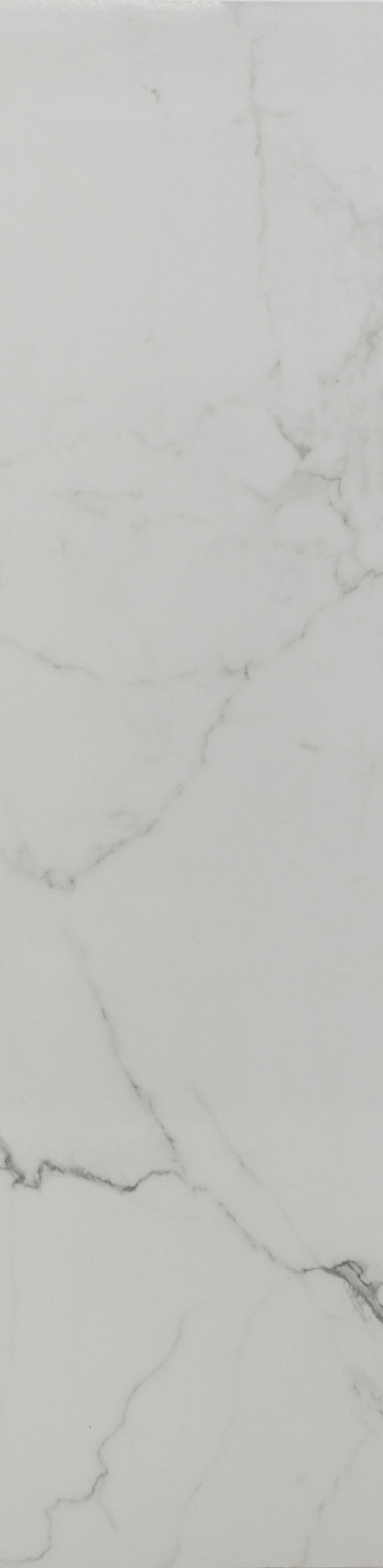 TIEIC : Nur Nur Polished 12x48 Wall Tile (12SF)