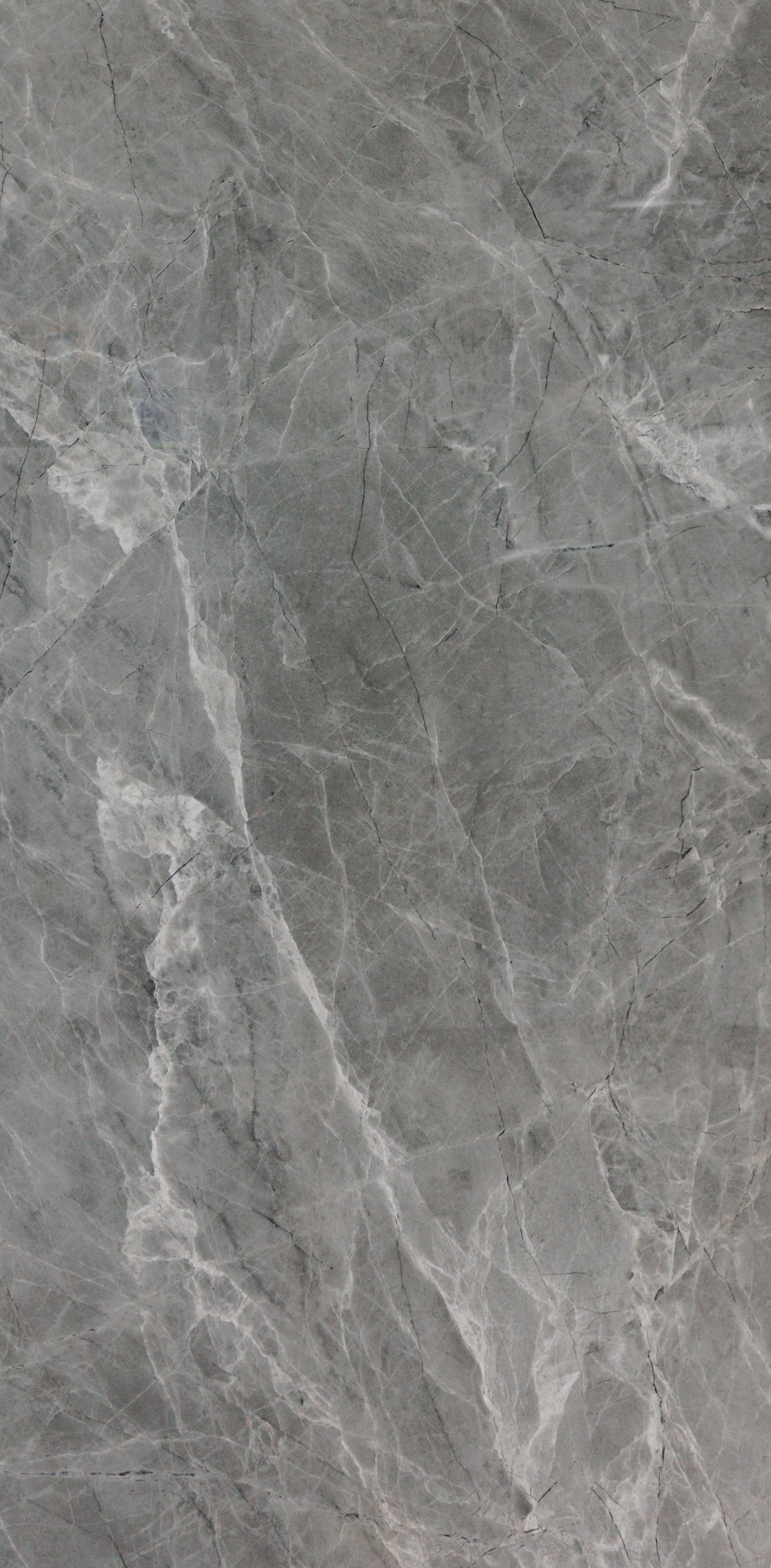 Emperor Grey Polished 24x48