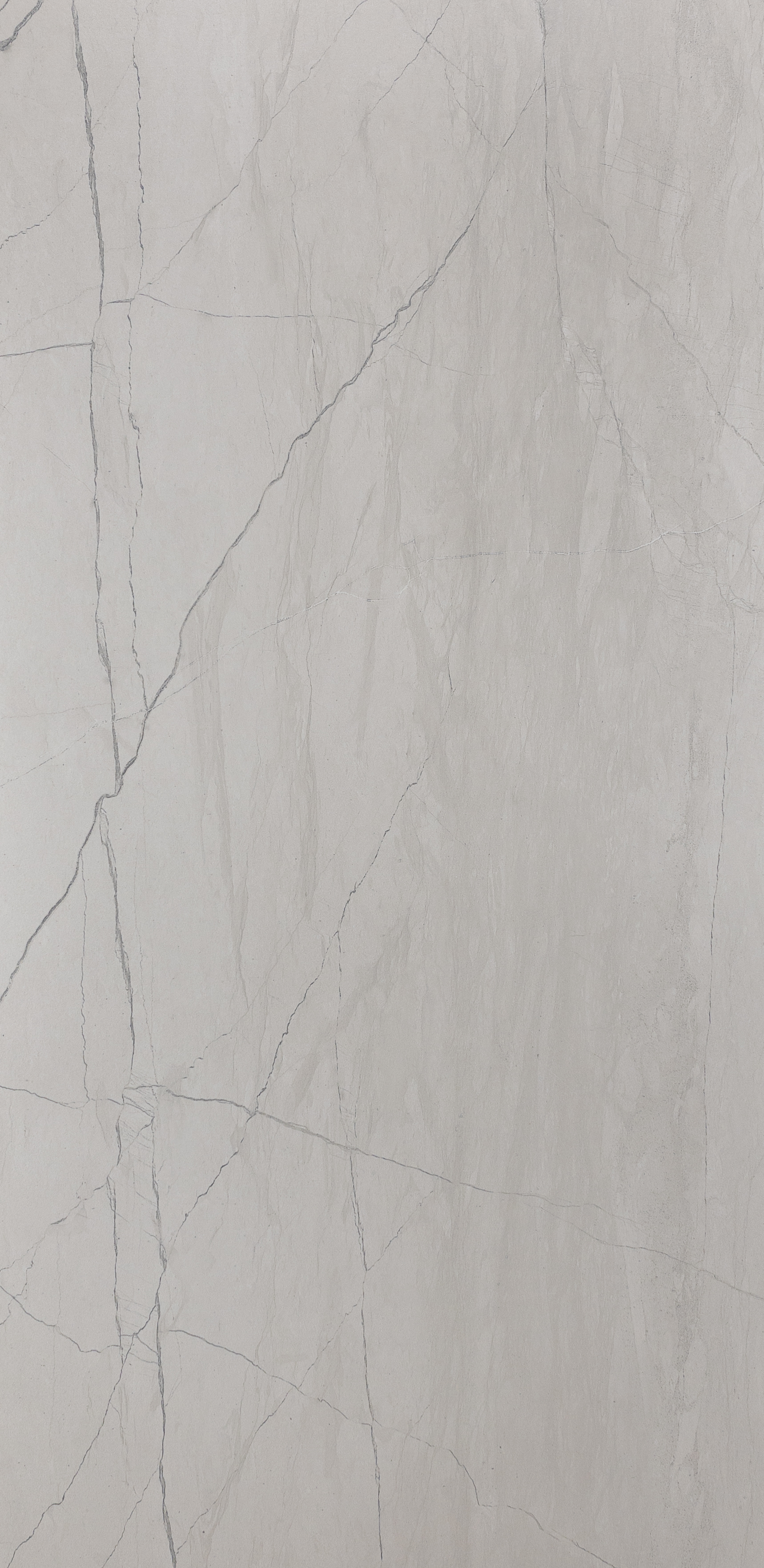 TIEIC : Fossil White Carved Matte 24x48 (15.5SF)