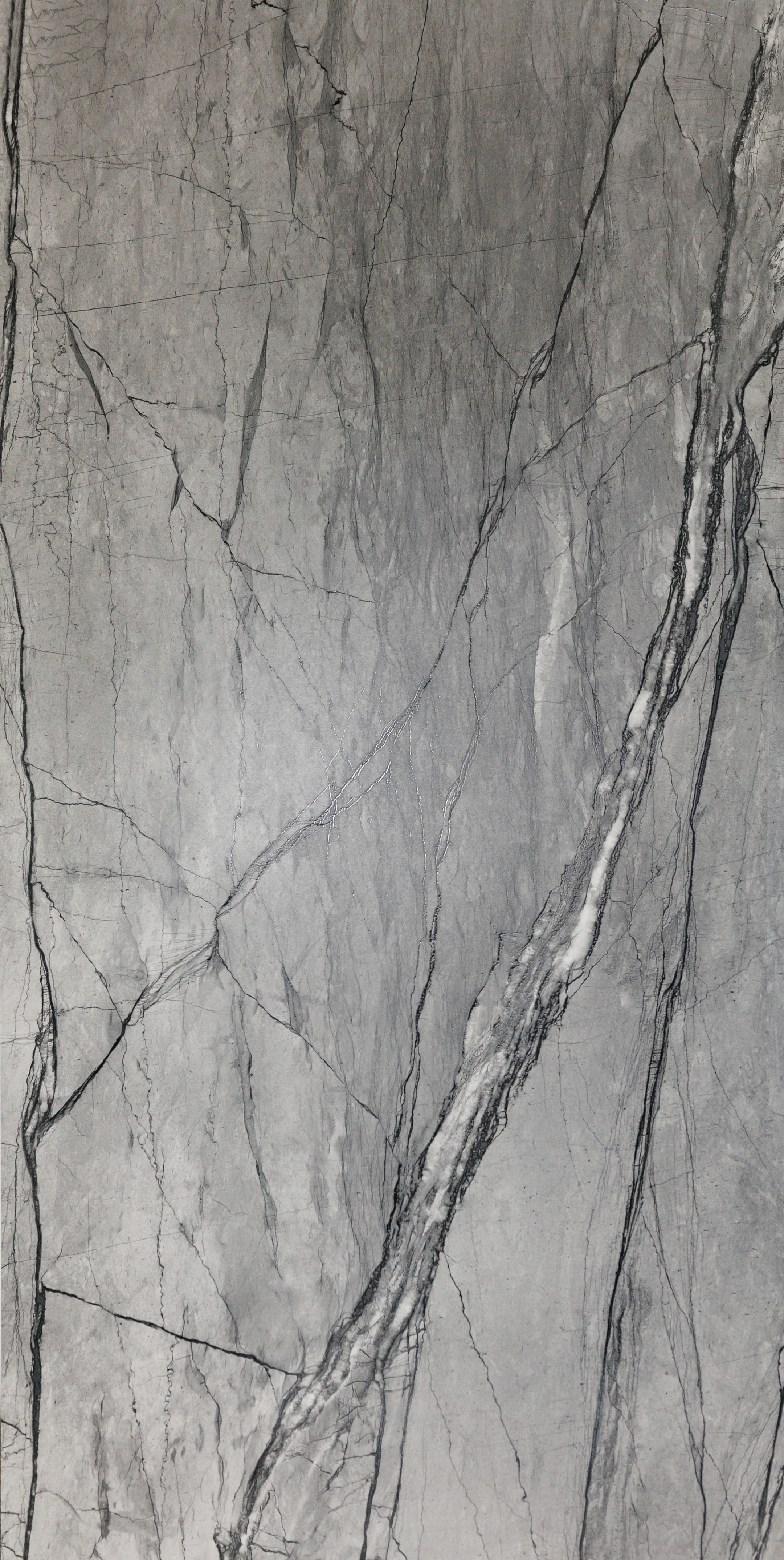 Fossil Anthracite Carved 24x48