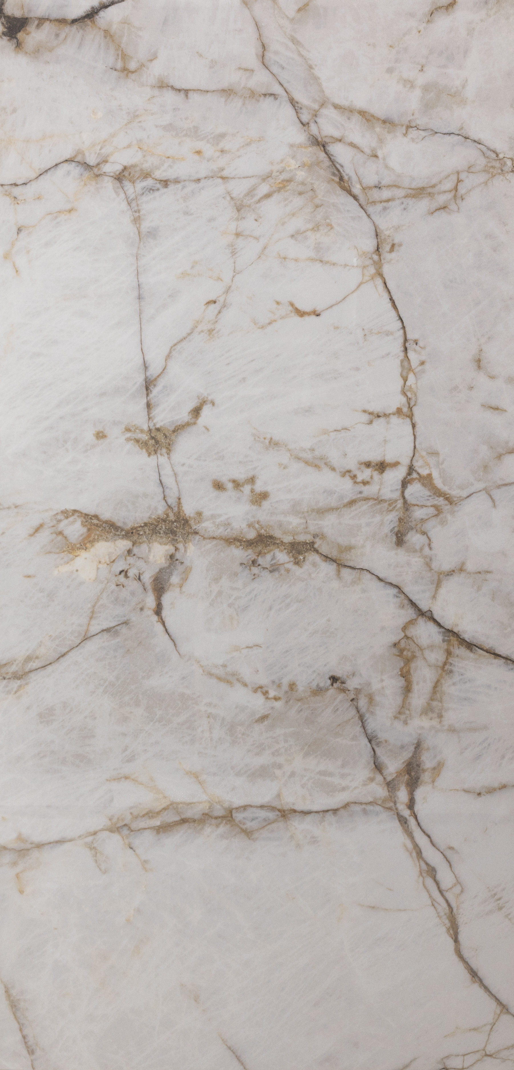 Navarti Ceramica : N Chiara 24x48 (15.5SF)