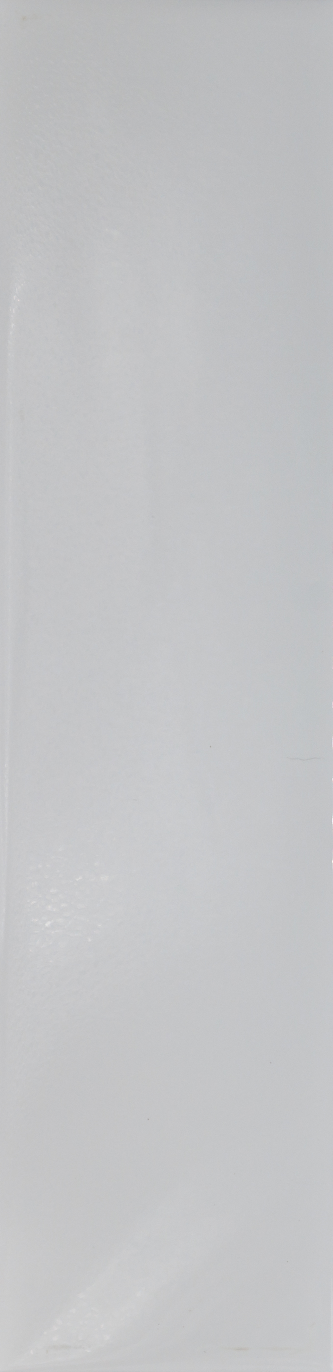 Rhino : White Glossy 4x16 Flat STA1400 (11.1SF)